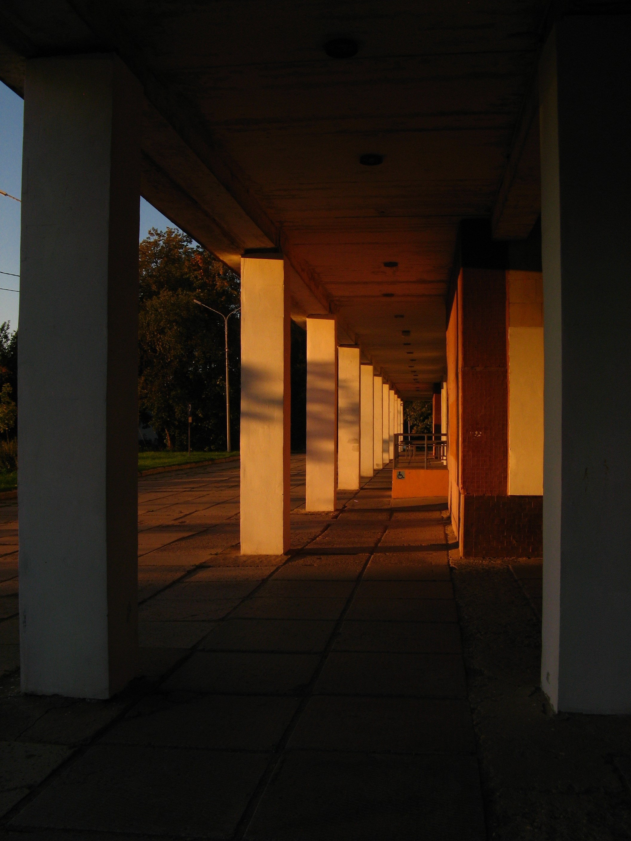 Сентябрь 2025. Den Mirov — Фотограф, Музыкант