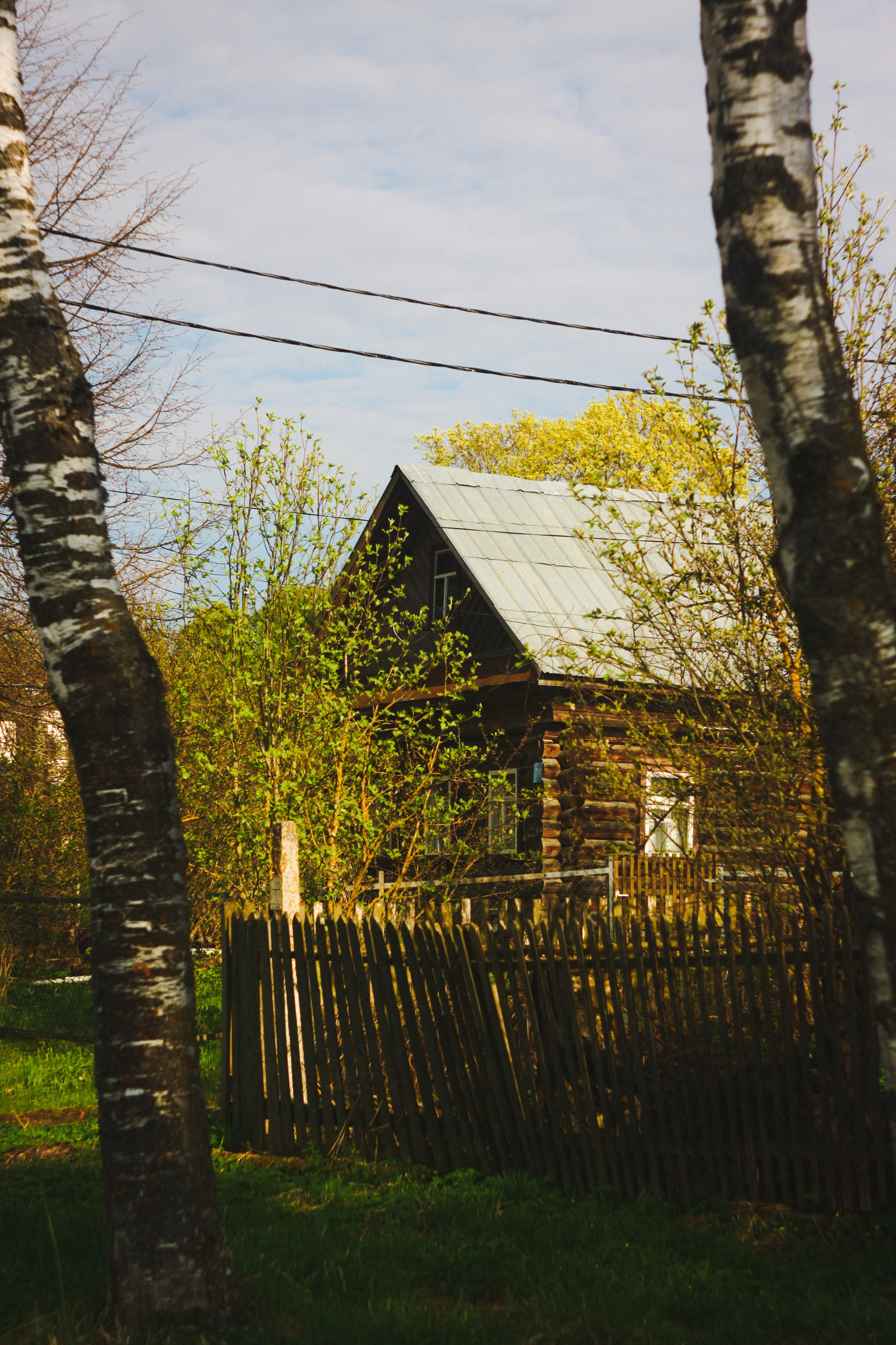 Myaksa. Den Mirov — Photographer, Musician