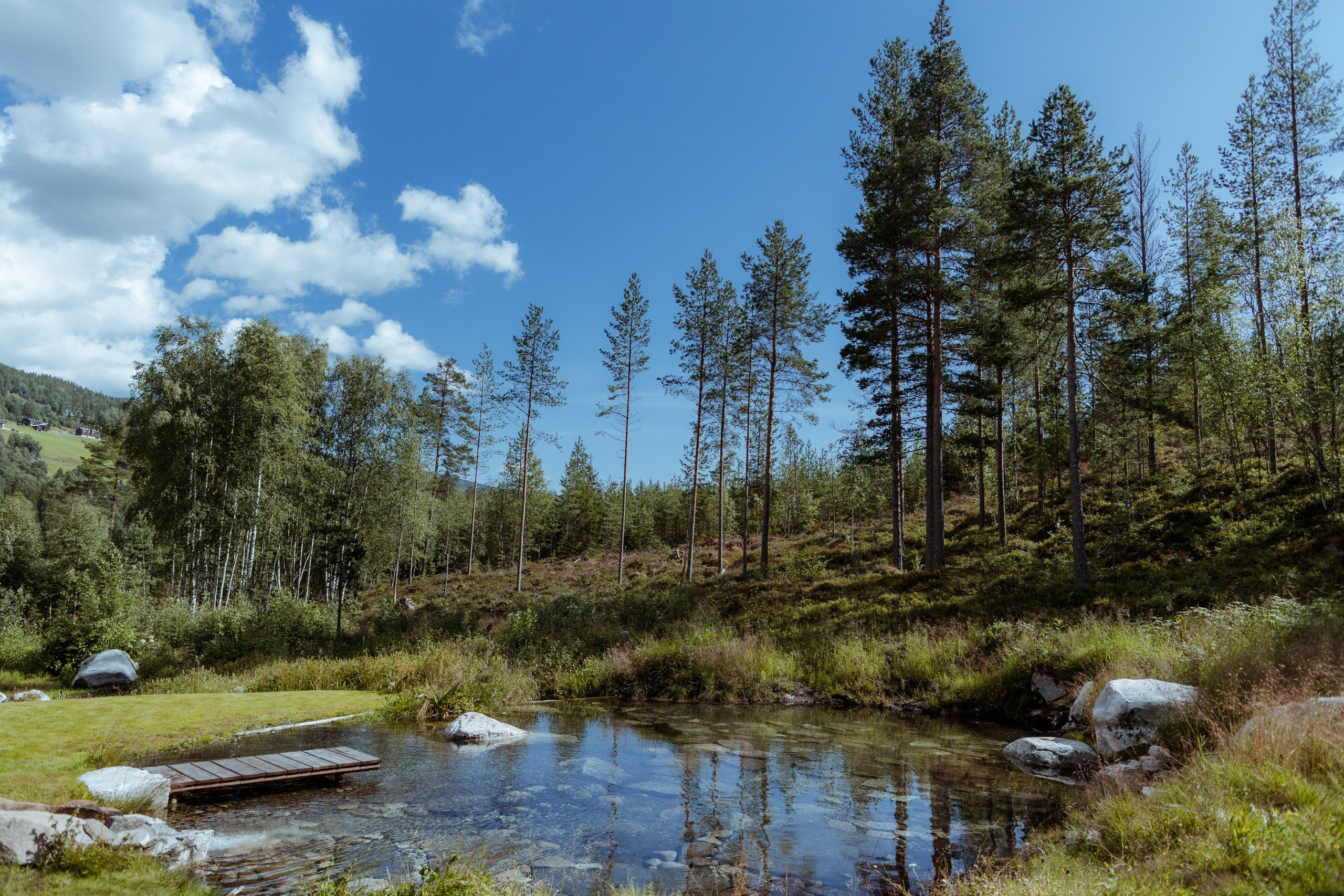 Vilje — Amalie. Elopement Wedding Photographer