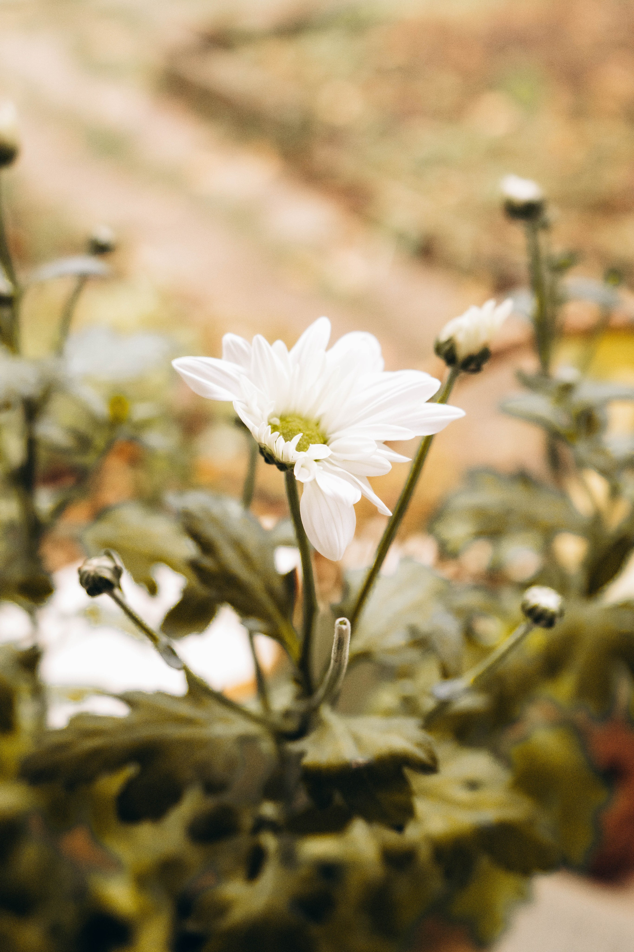 Съемка студии «Аж уютно». Фотограф Москва Валерия Веденина