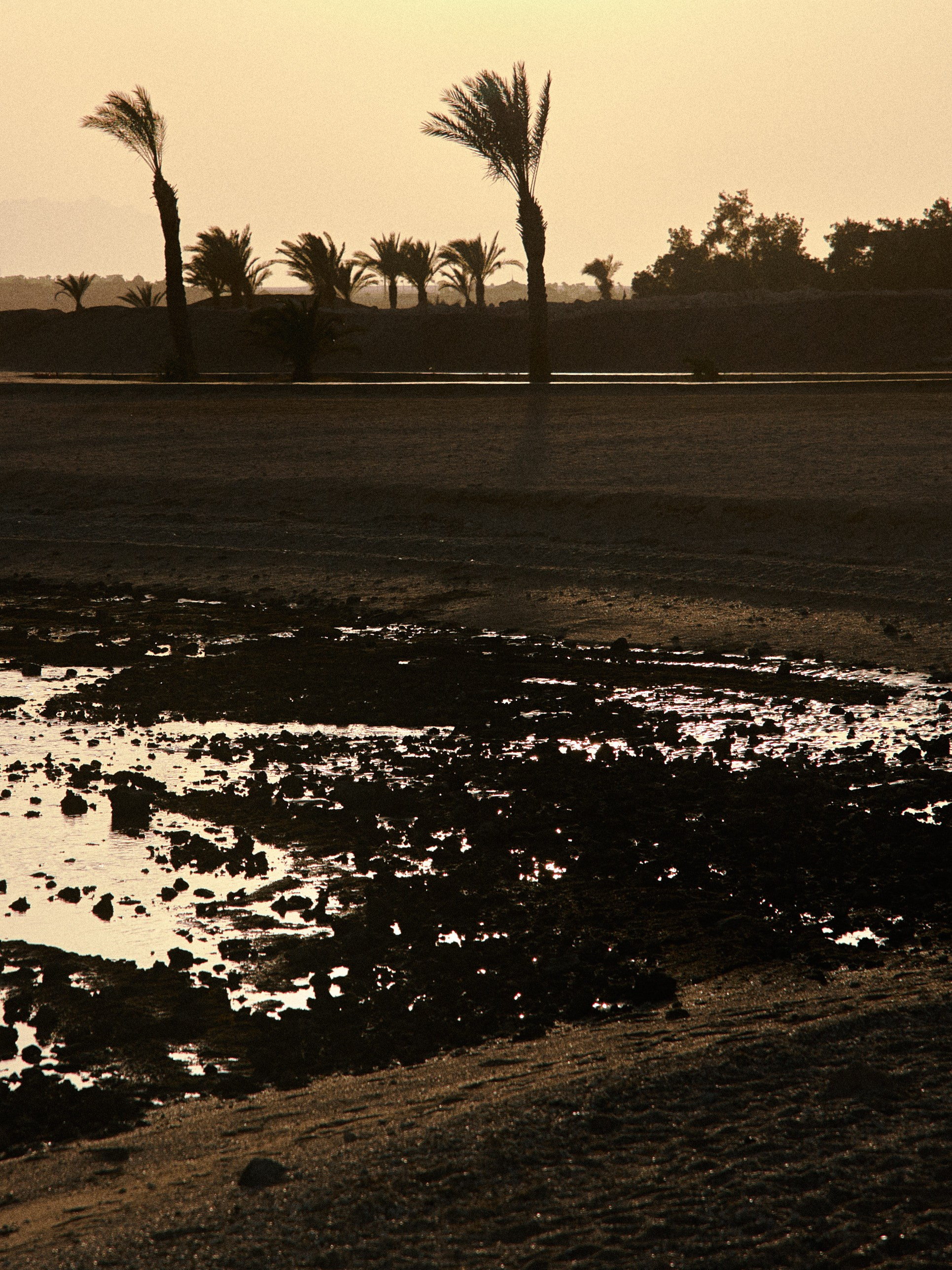 Другое. Jorgis Talè — photographer, kind person, teacher of arts and other mag