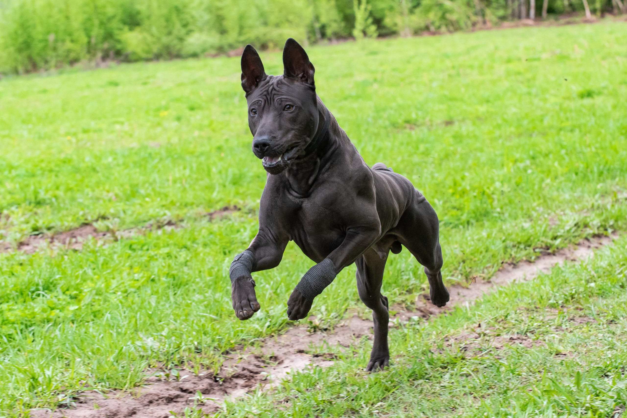 Фотографии с Курсинга. Фотограф Макс Огурцов в Нижнем Новгороде
