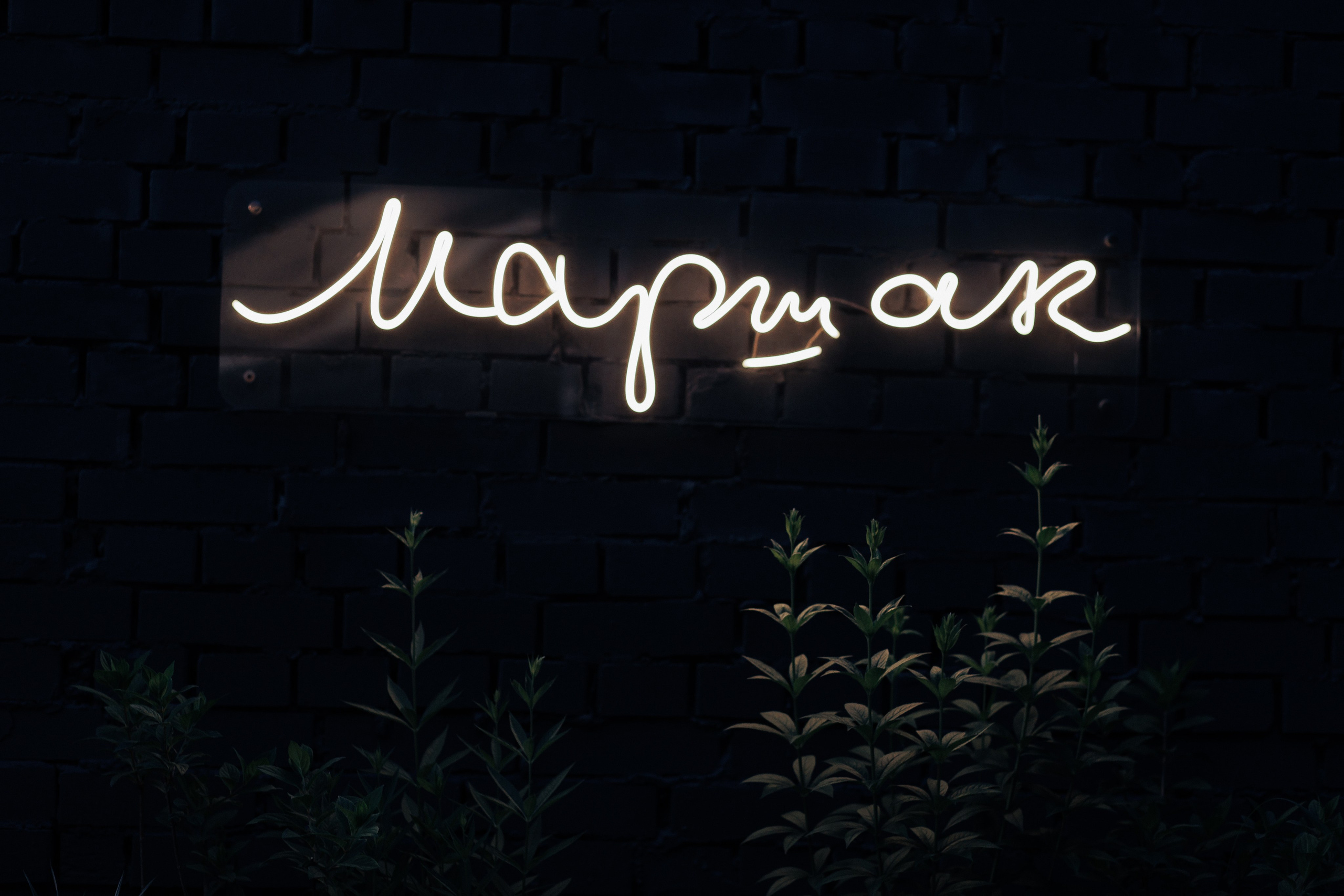 Свадебная Фотосессия с агенством и ведущим. Свадебный фотограф Воронеж