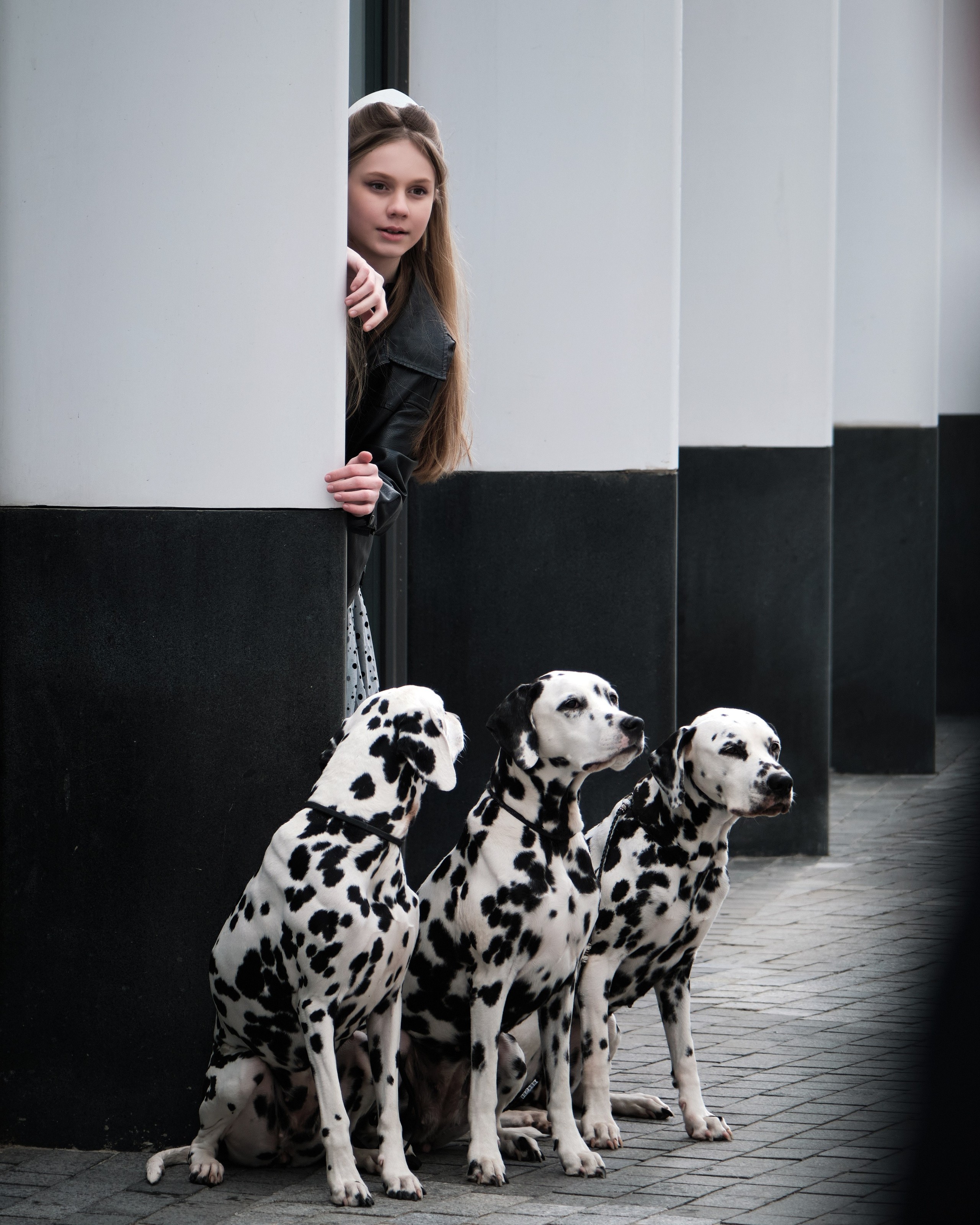 необычные фото далматинца в Москве фотограф Виктория Колышева