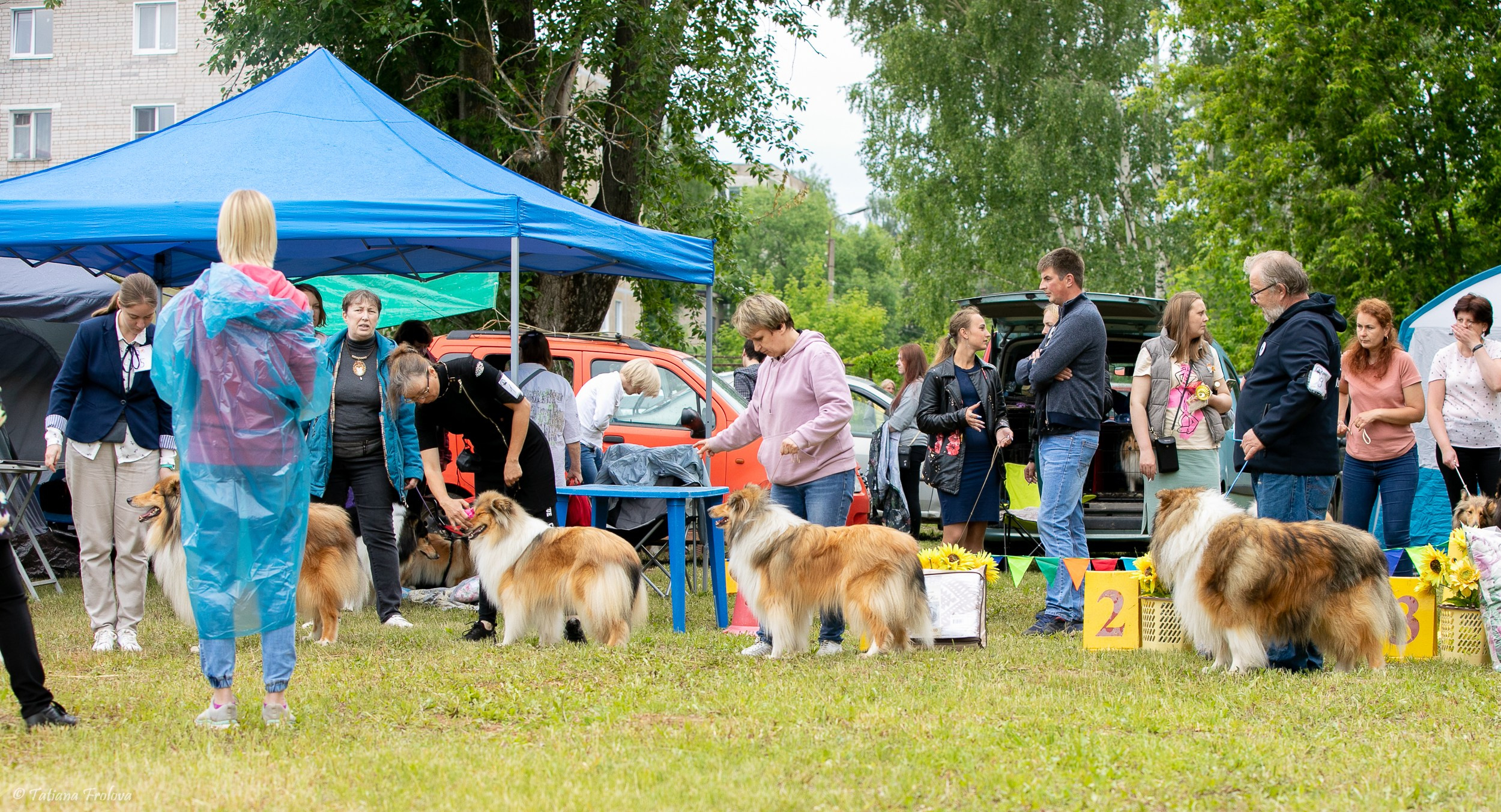 Фотосопровождение выставки собак в Московской области и Москве. Фотограф-анималист в Москве и Московской области Татьяна Фролова