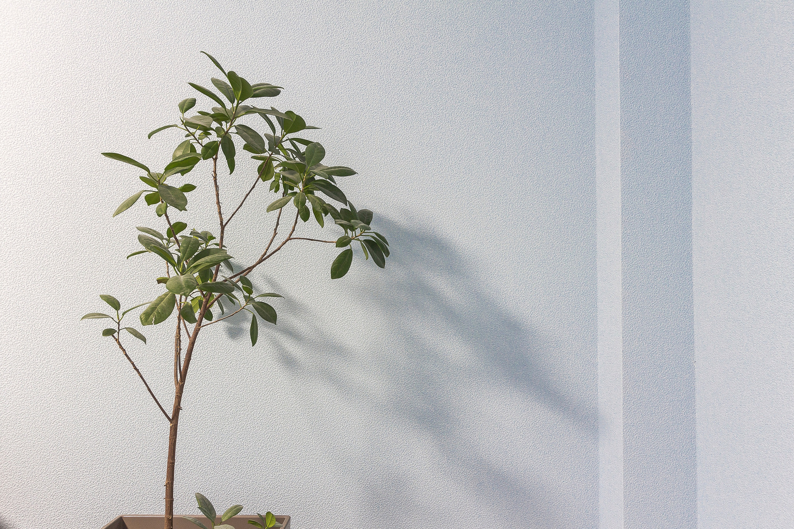 Успели сделать ремонт квартиры до нового года. Делаем ремонт квартир в Санкт-Петербурге