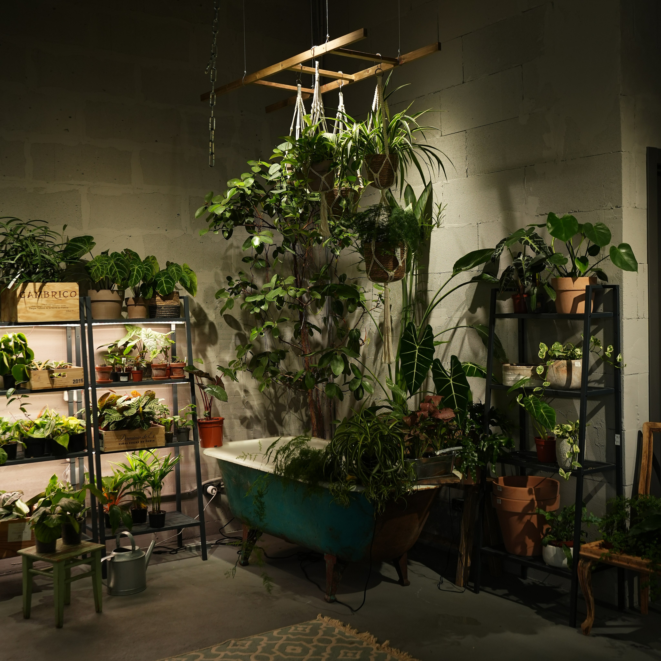 Интерьерная фотосъемка флористического магазина