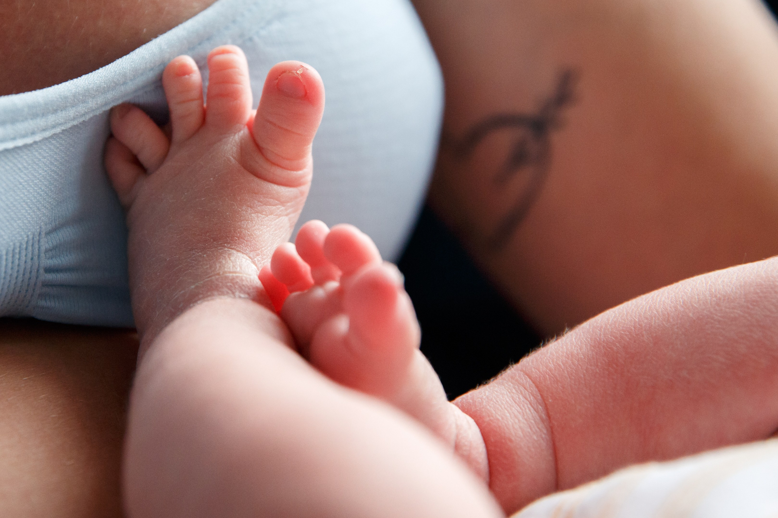 Аврора и Алиса. Семейный и школьный фотограф в Москве Анна Ткач