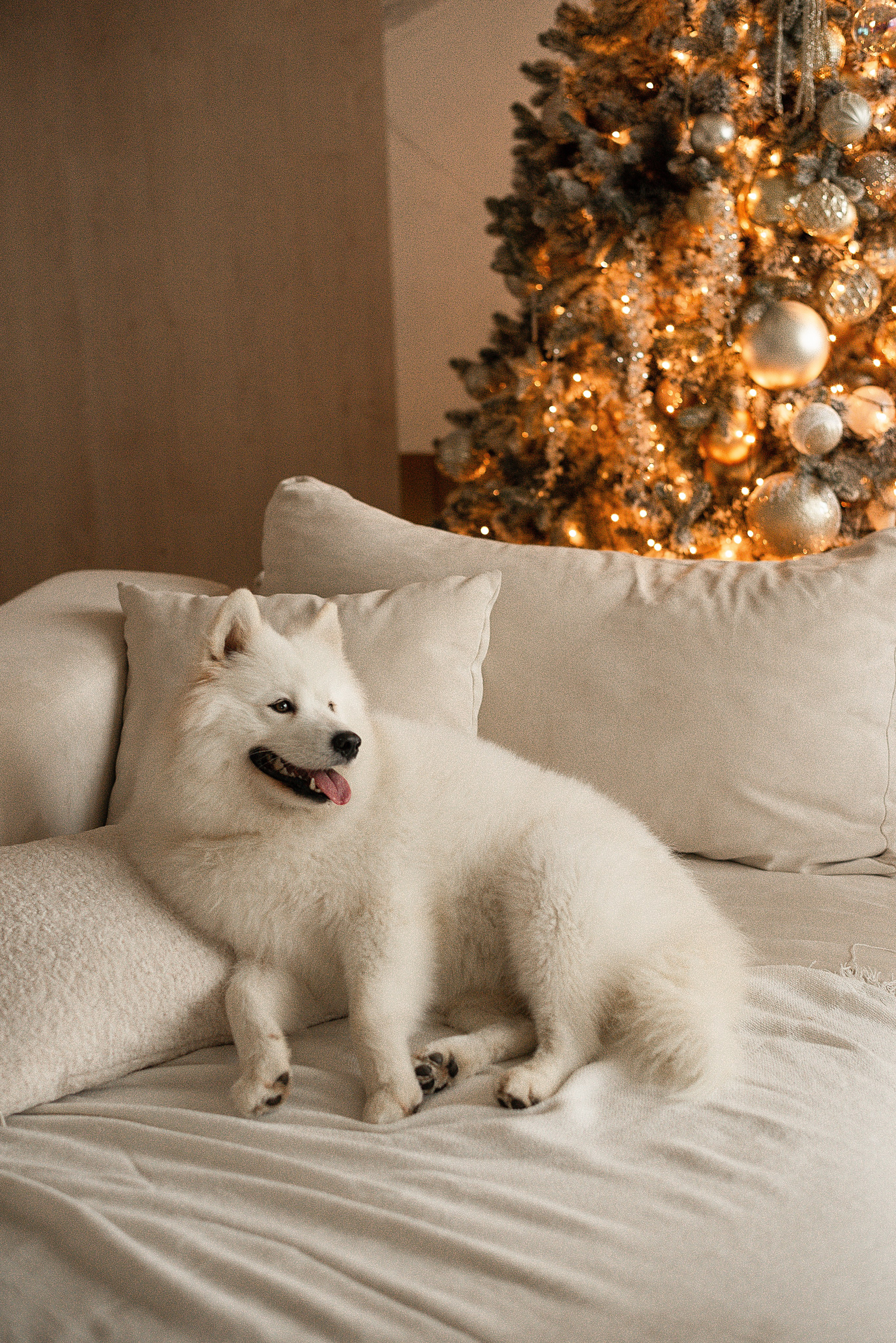 Марина, Александр и Ева. Фотограф в Санкт-Петербурге Катя Прудникова