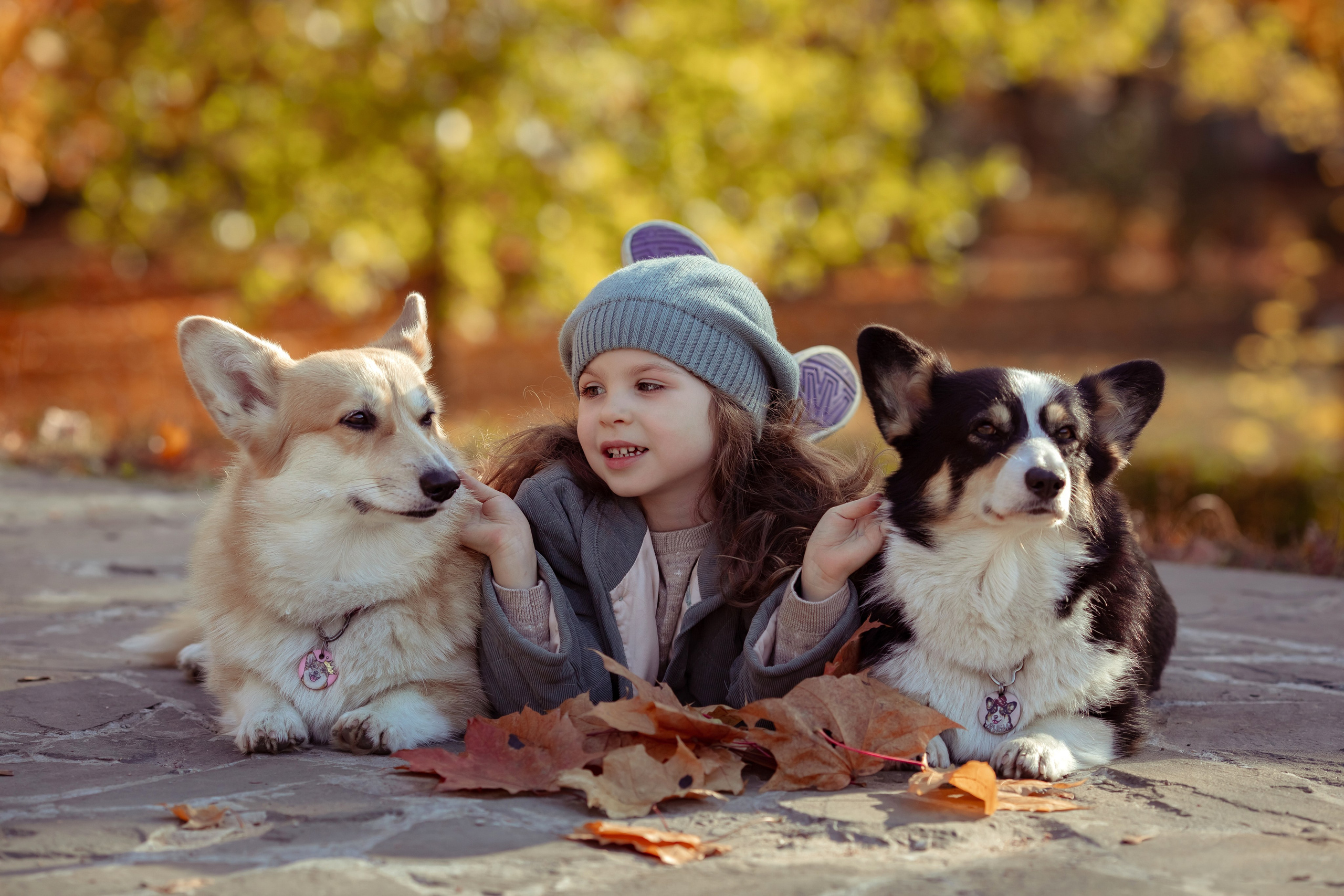 Эва с корги. Семейный и детский фотограф в Москве Дорогова Екатерина