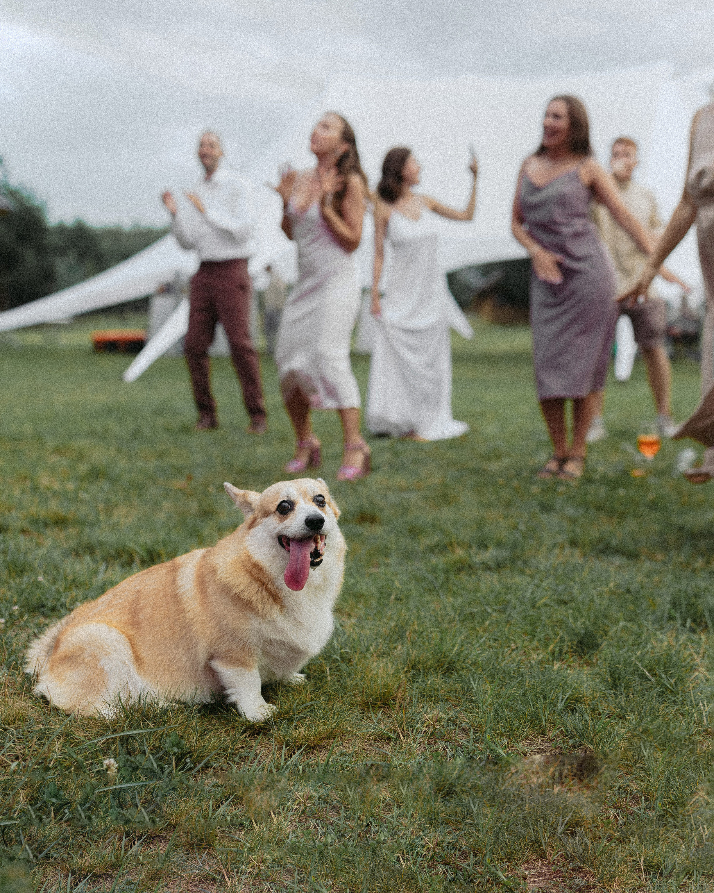 Борис и Екатерина. Свадебный фотограф в Москве Владимир Барабанов