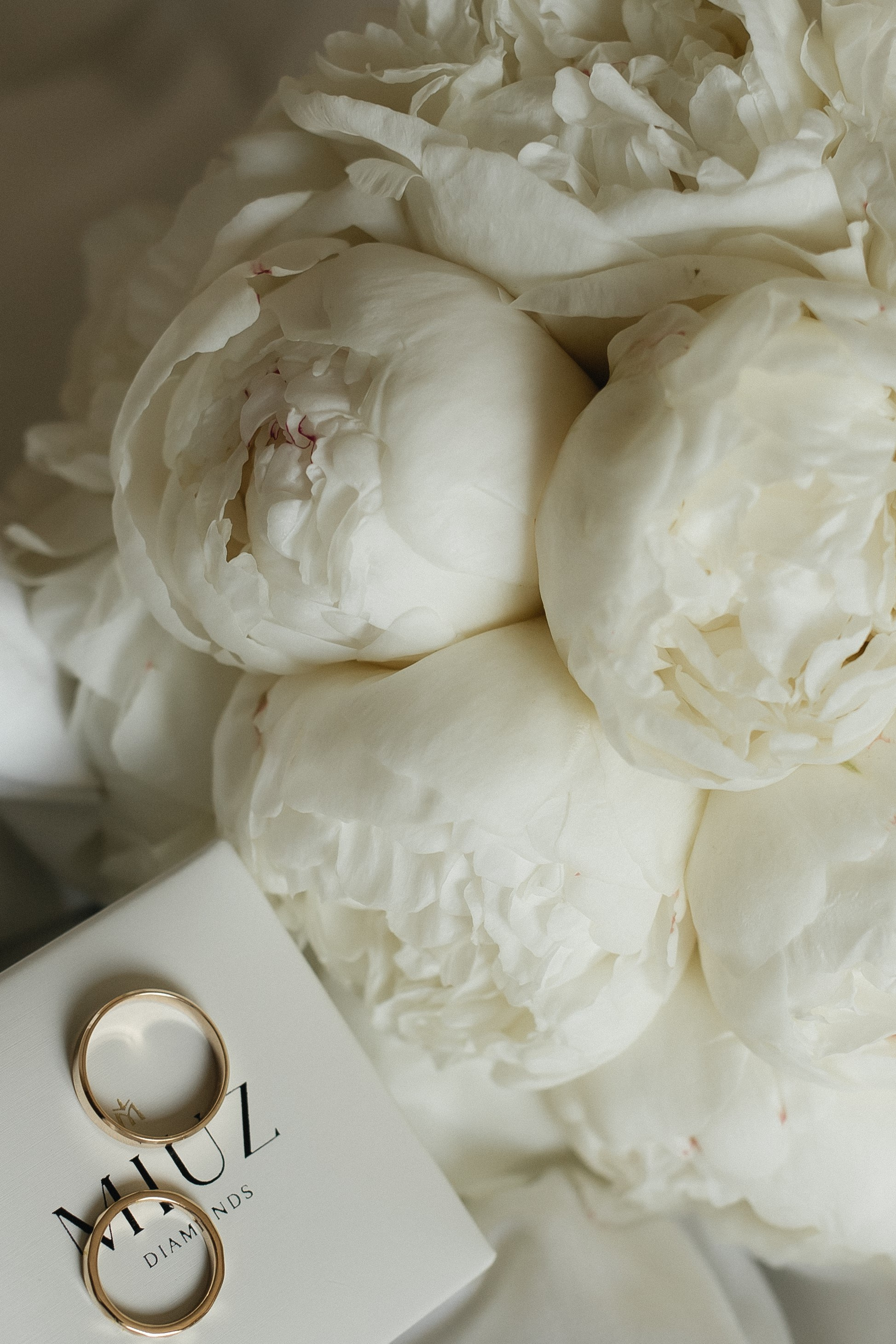 Фотограф Ольга Сапронова. Свадебный фотограф Ольга Сапронова