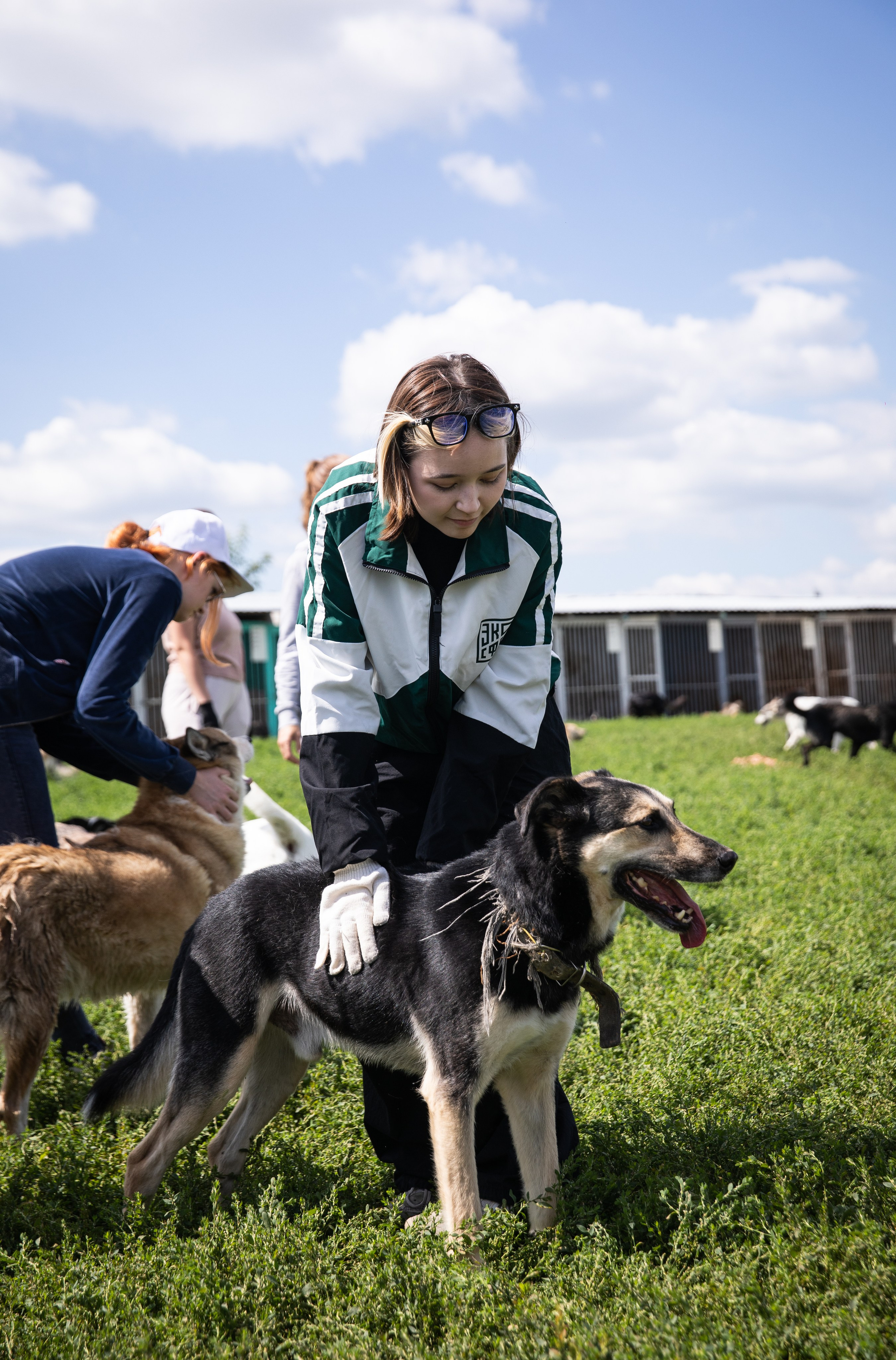 Приют — Наш дом. Репортажный и свадебный фотограф в Челябинске Елисеев Павел