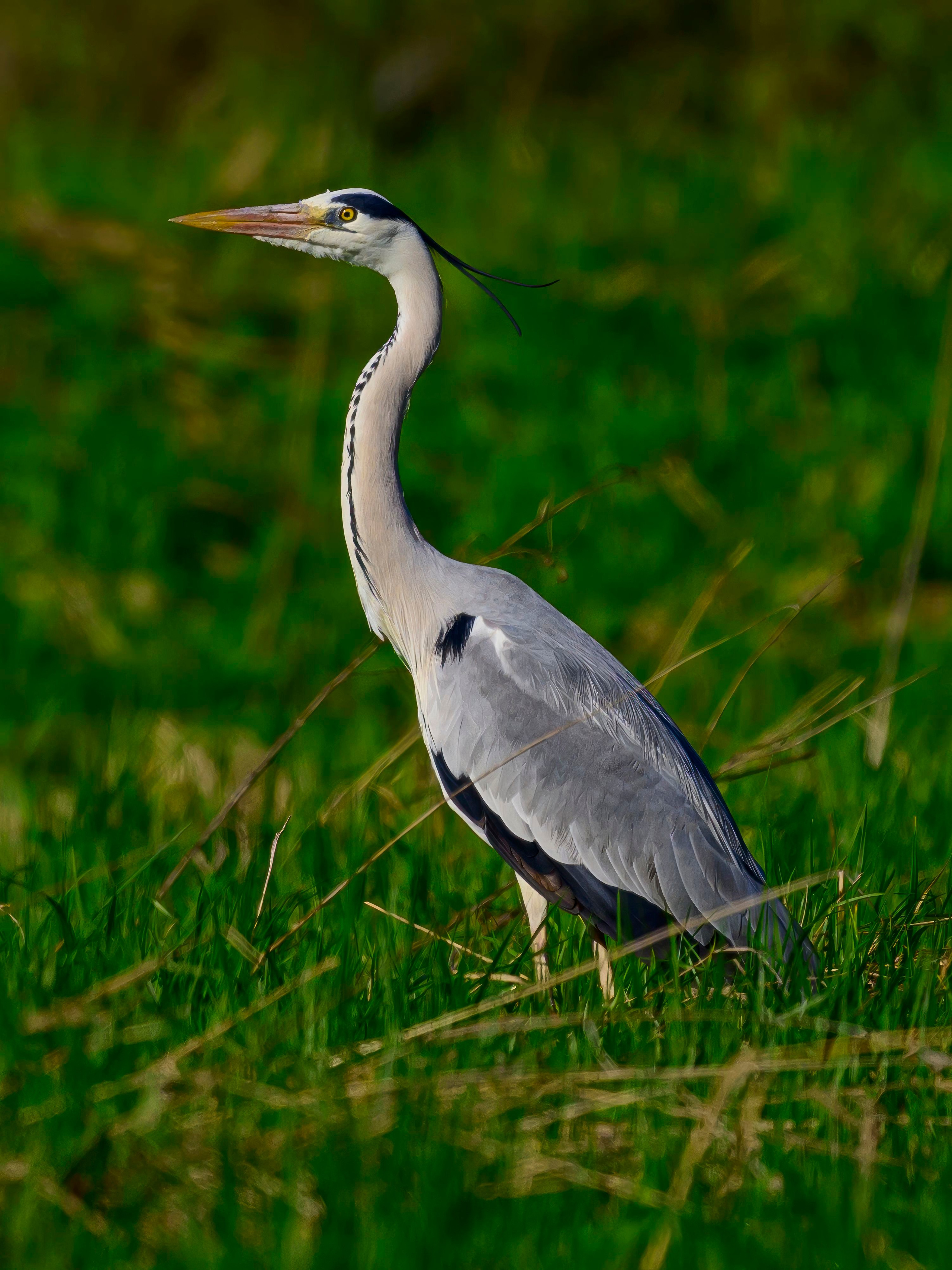 Дмитров. Фотограф Сергей Пупонин