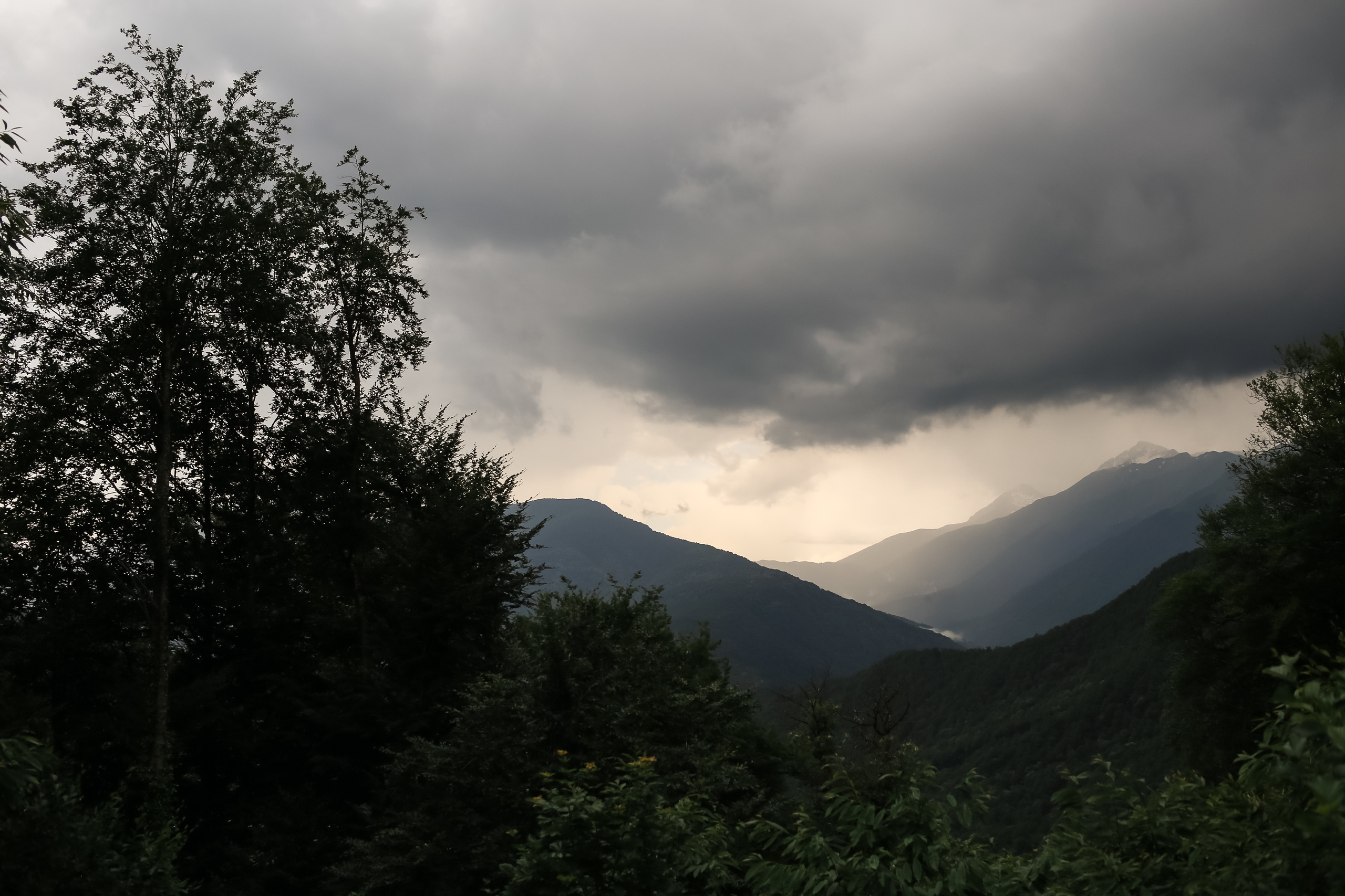 Галина и Александр, Сочи, Роза Хутор, Рэдиссон. Свадебный и репортажный фотограф (Москва, Королев и другие)
