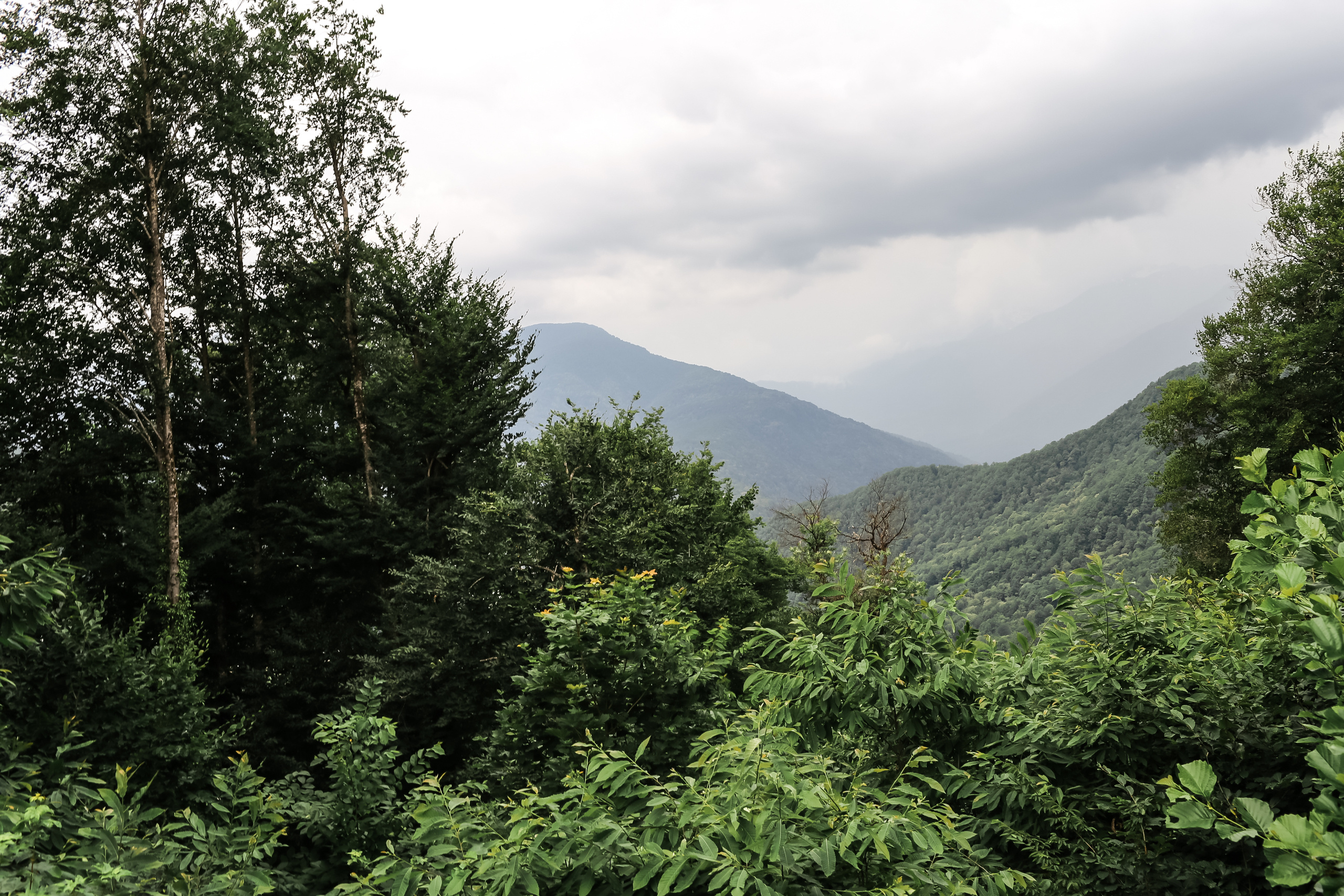 Галина и Александр, Сочи, Роза Хутор, Рэдиссон. Свадебный и репортажный фотограф (Москва, Королев и другие)