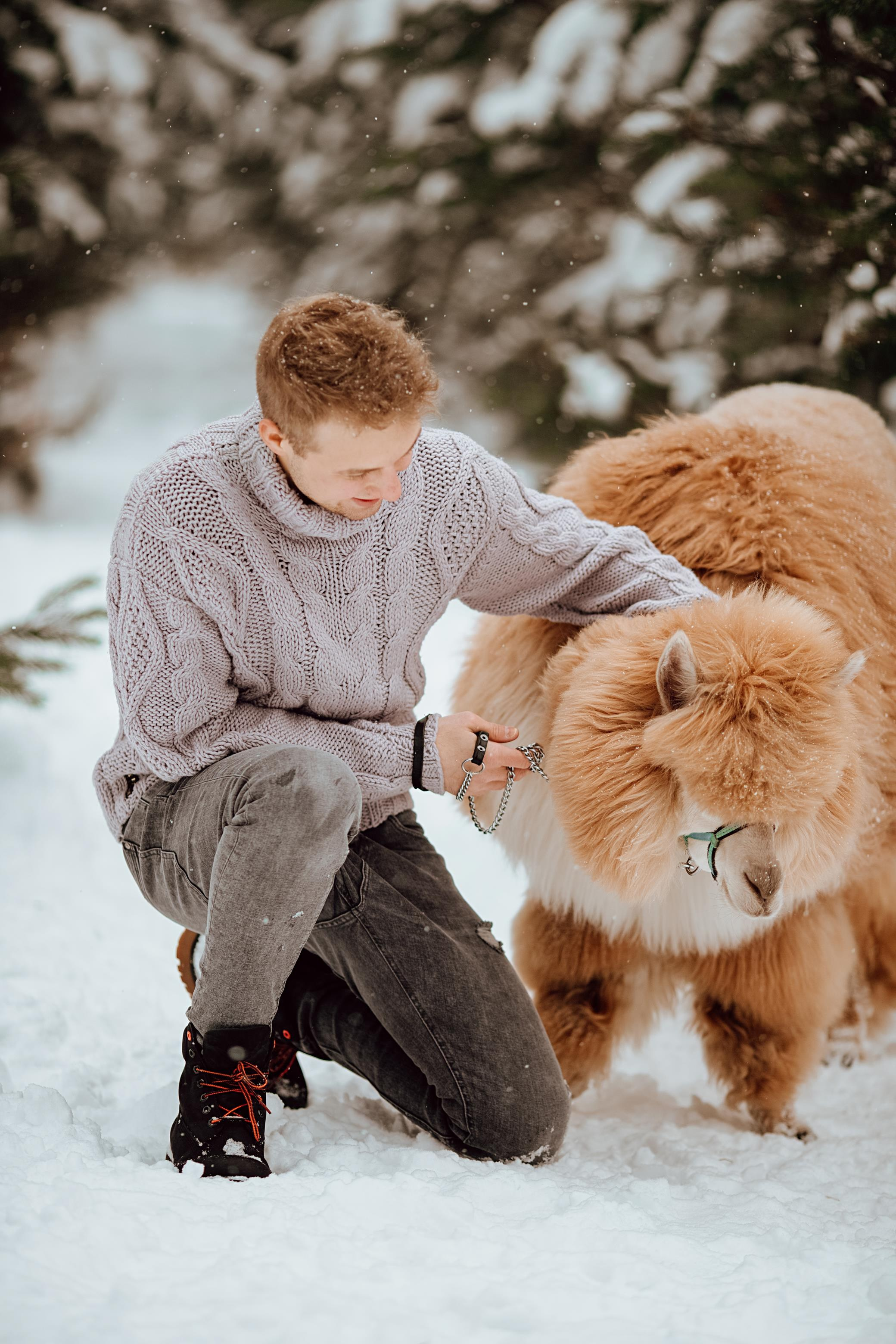 Winter wonderland. Алина Малышева, свадебный и семейный фотограф Москва