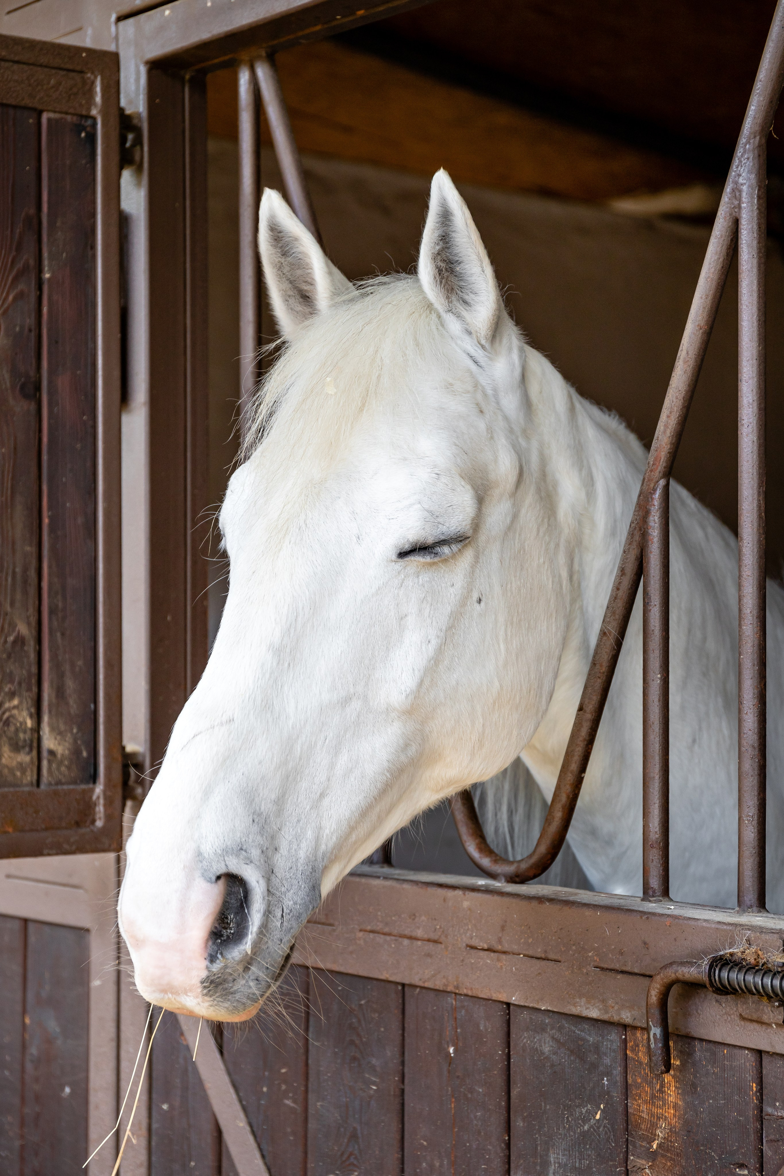 Парк-отель «Орлиное гнездо». Номера в домиках. п. Горячий Ключ. Интерьерный фотограф в Краснодарском крае Светлана Шурлова