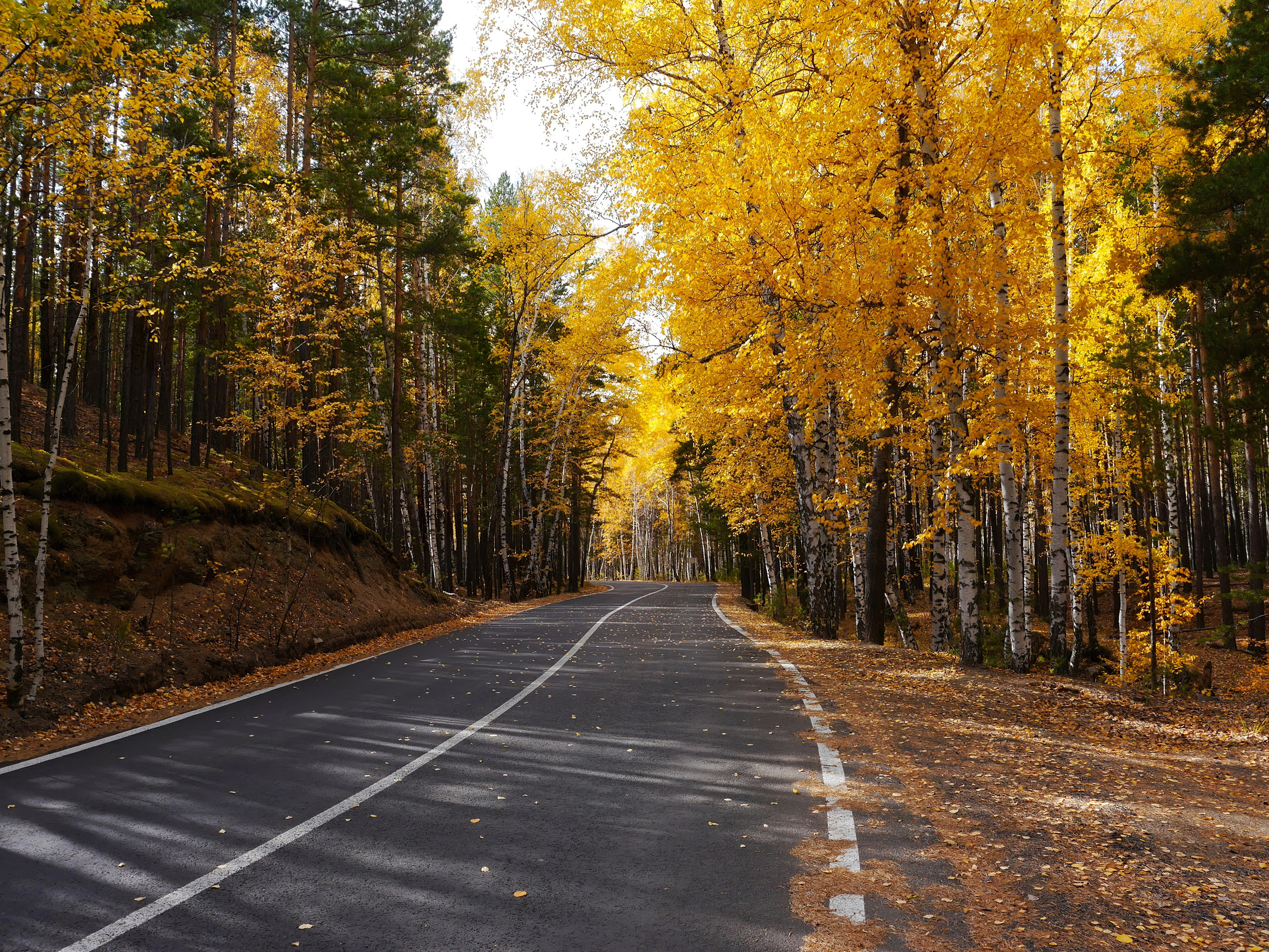 Боровое 2020 (из архива). Избранные фотографии