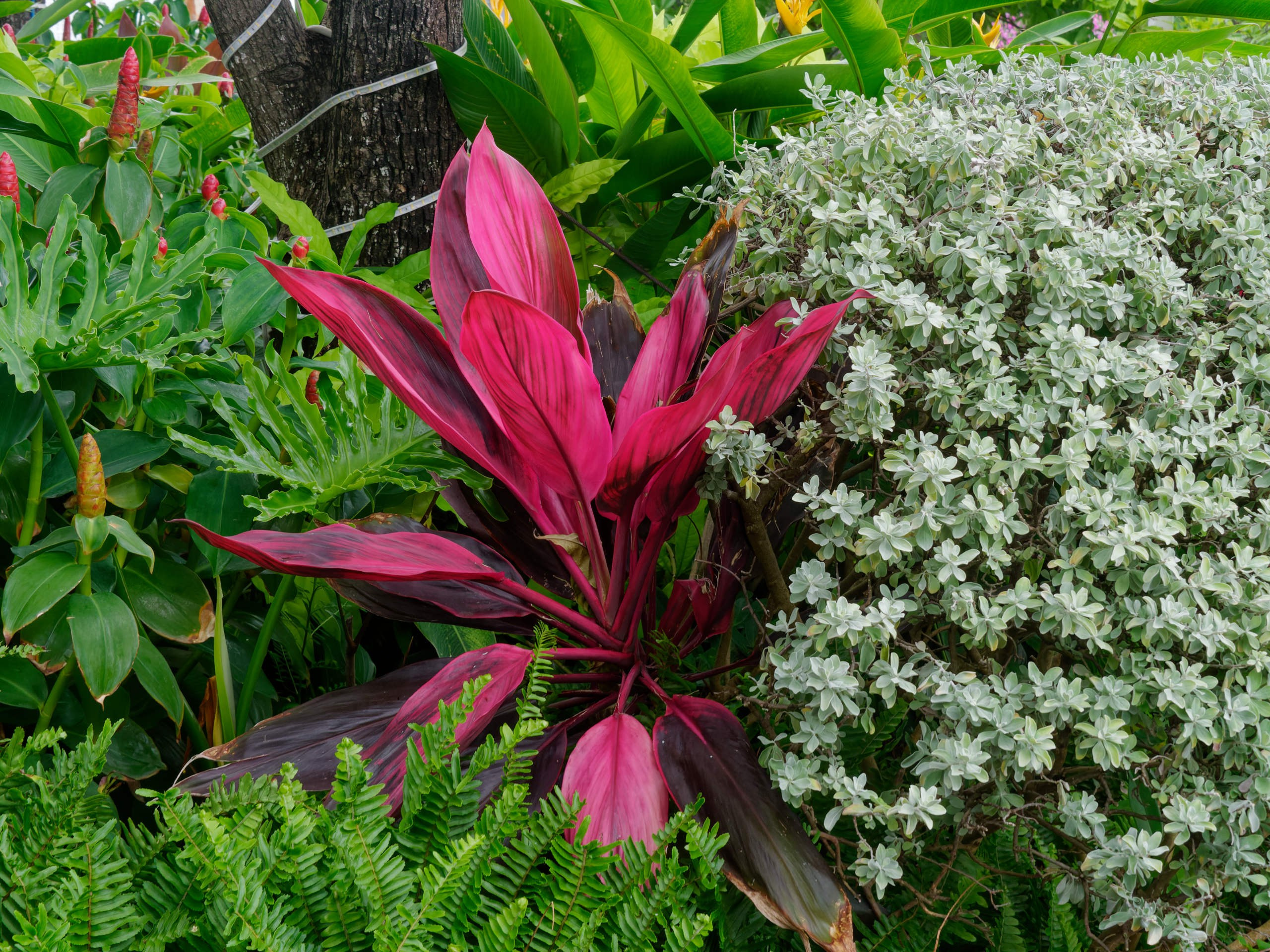 Нячанг 2025 (4). Избранные фотографии