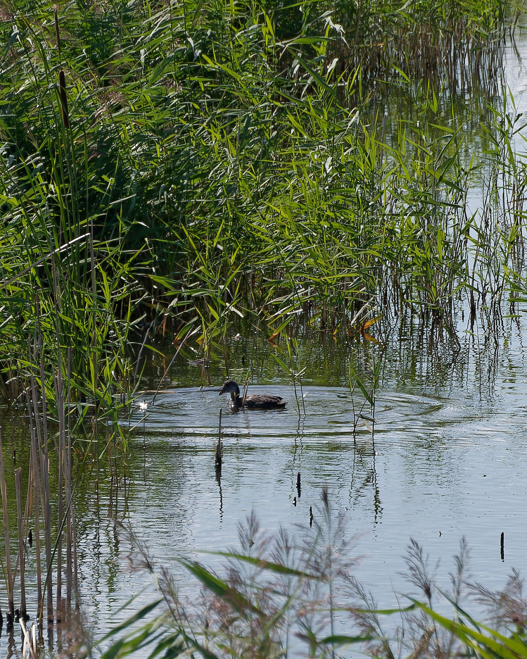 Боровое 2021 (из архива). Избранные фотографии