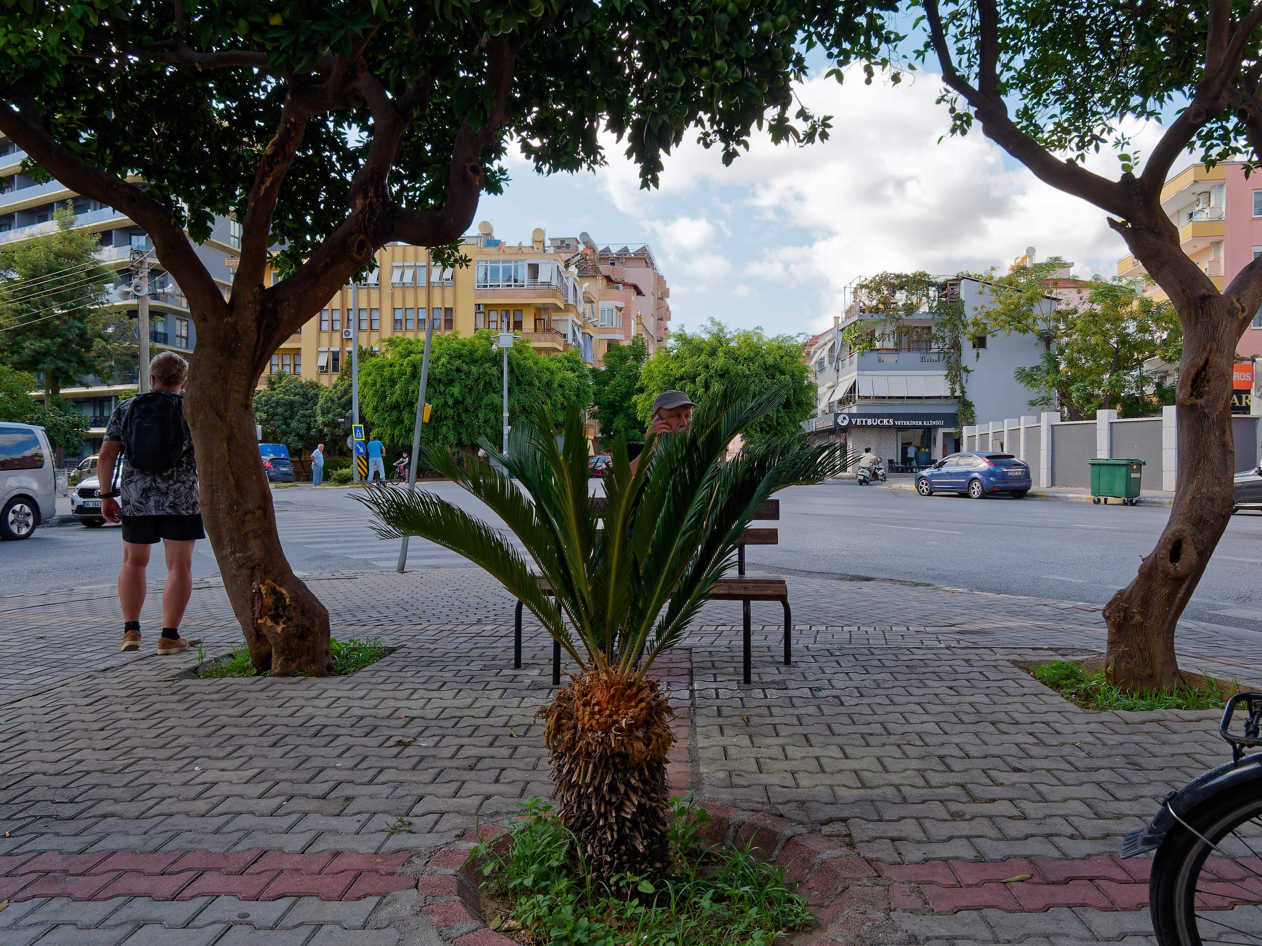 Алания 2025, город, стрит-фото. Избранные фотографии