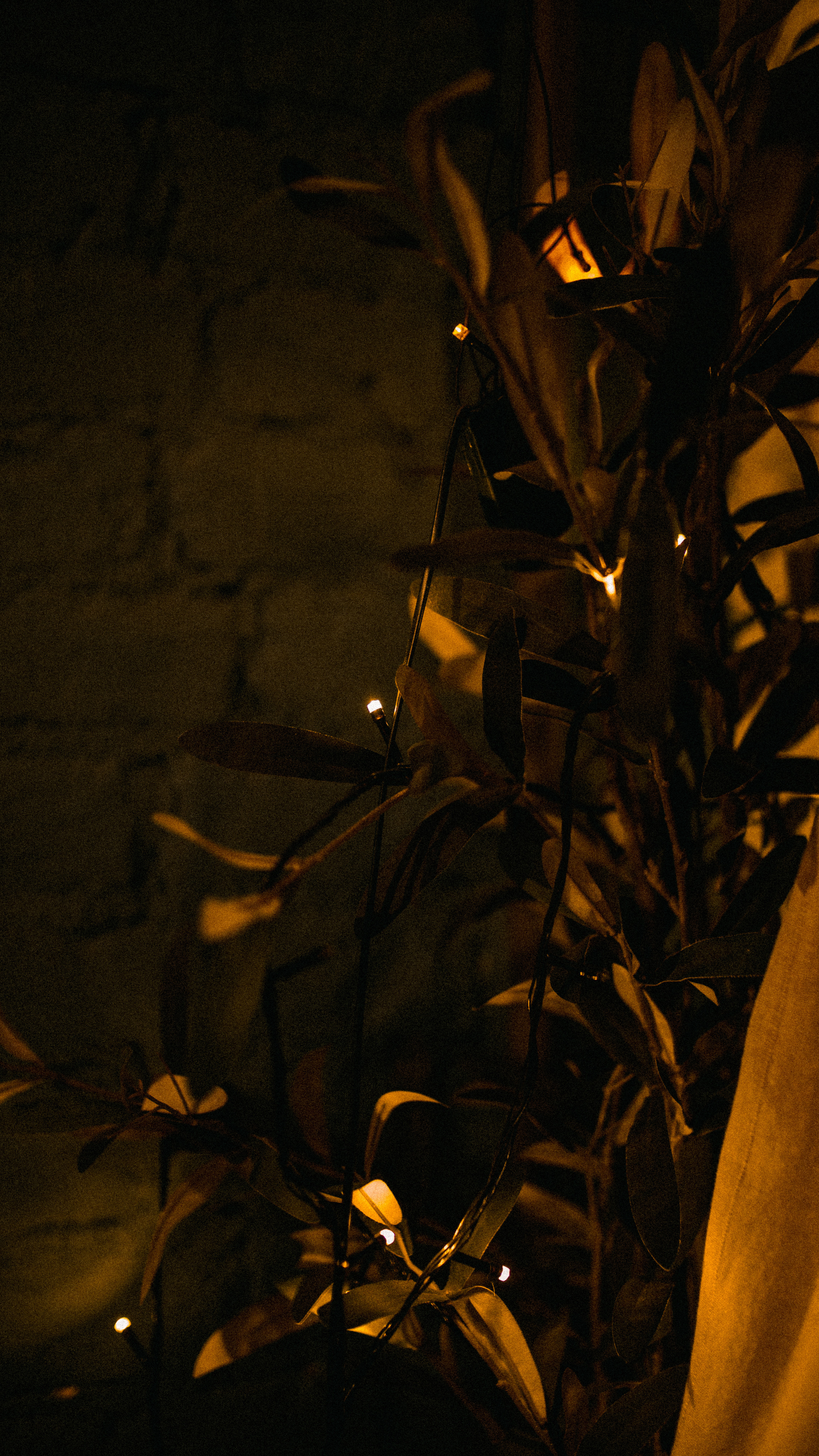 Санкт-Петербург. Лёшка Варзегов — фотограф