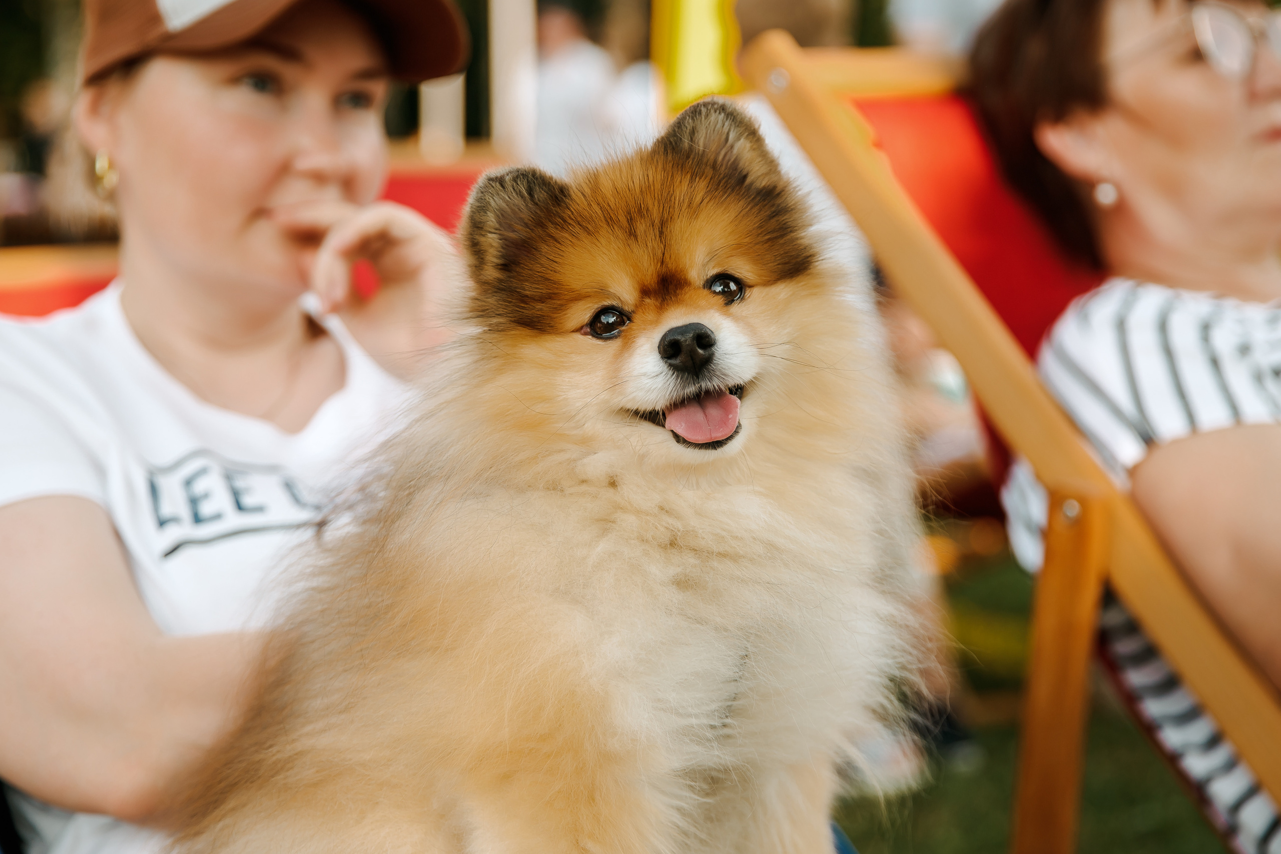 Кинолето УБРиР в ЦПКиО. Лёшка Варзегов — фотограф