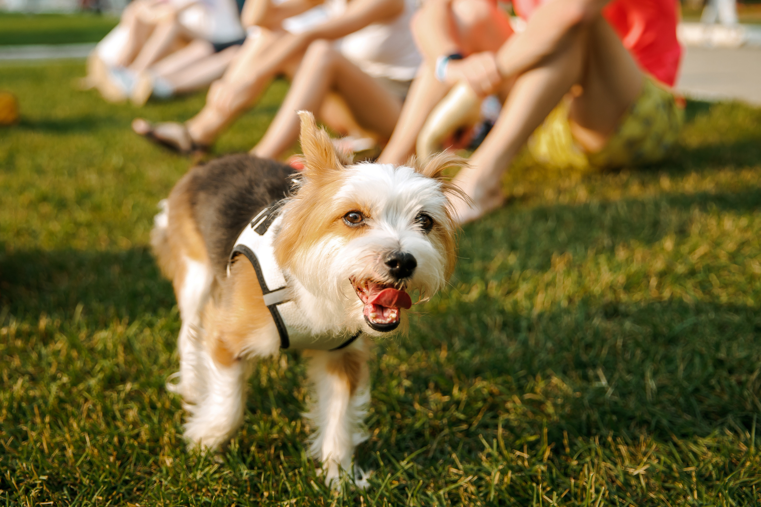 Кинолето УБРиР в ЦПКиО. Лёшка Варзегов — фотограф