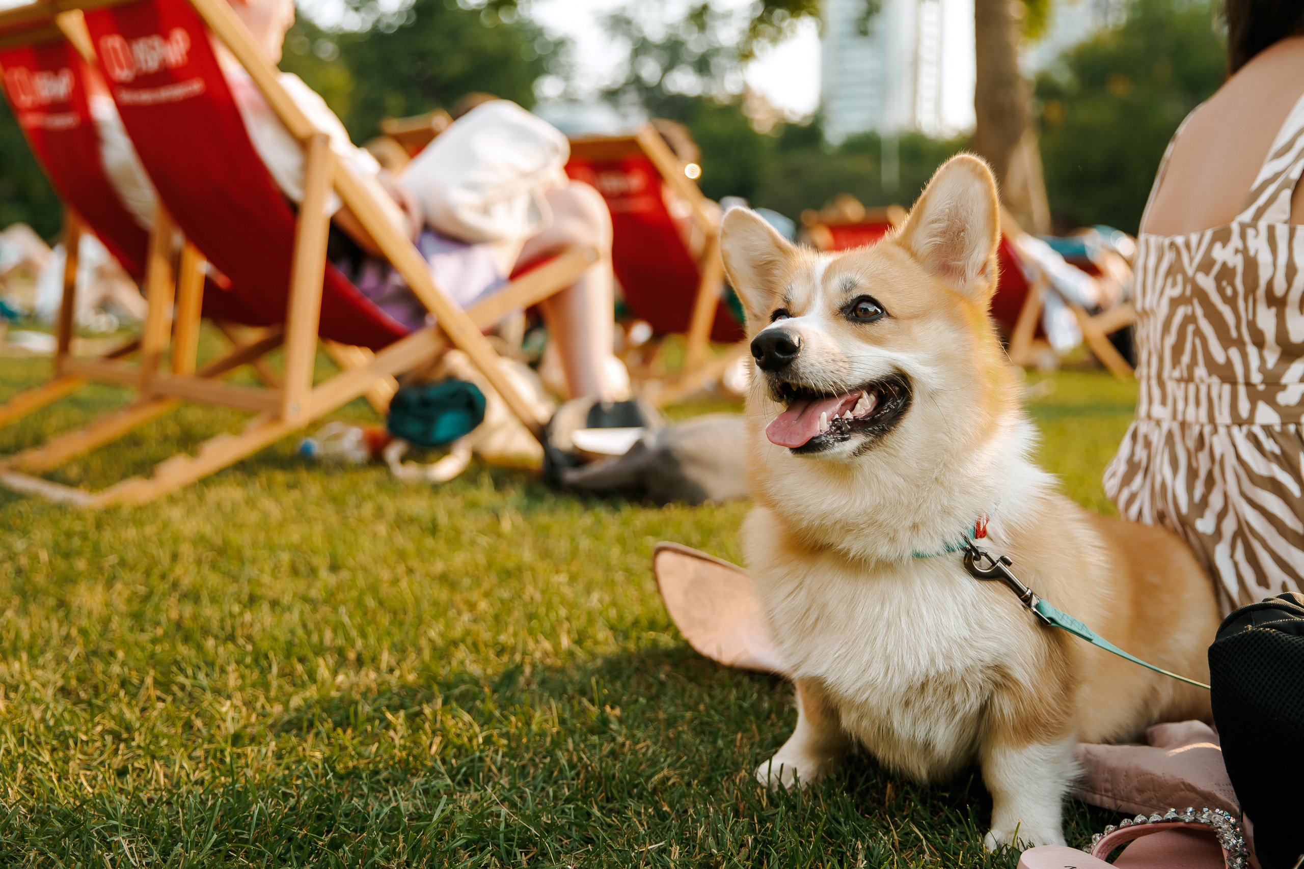 Кинолето УБРиР в ЦПКиО. Лёшка Варзегов — фотограф