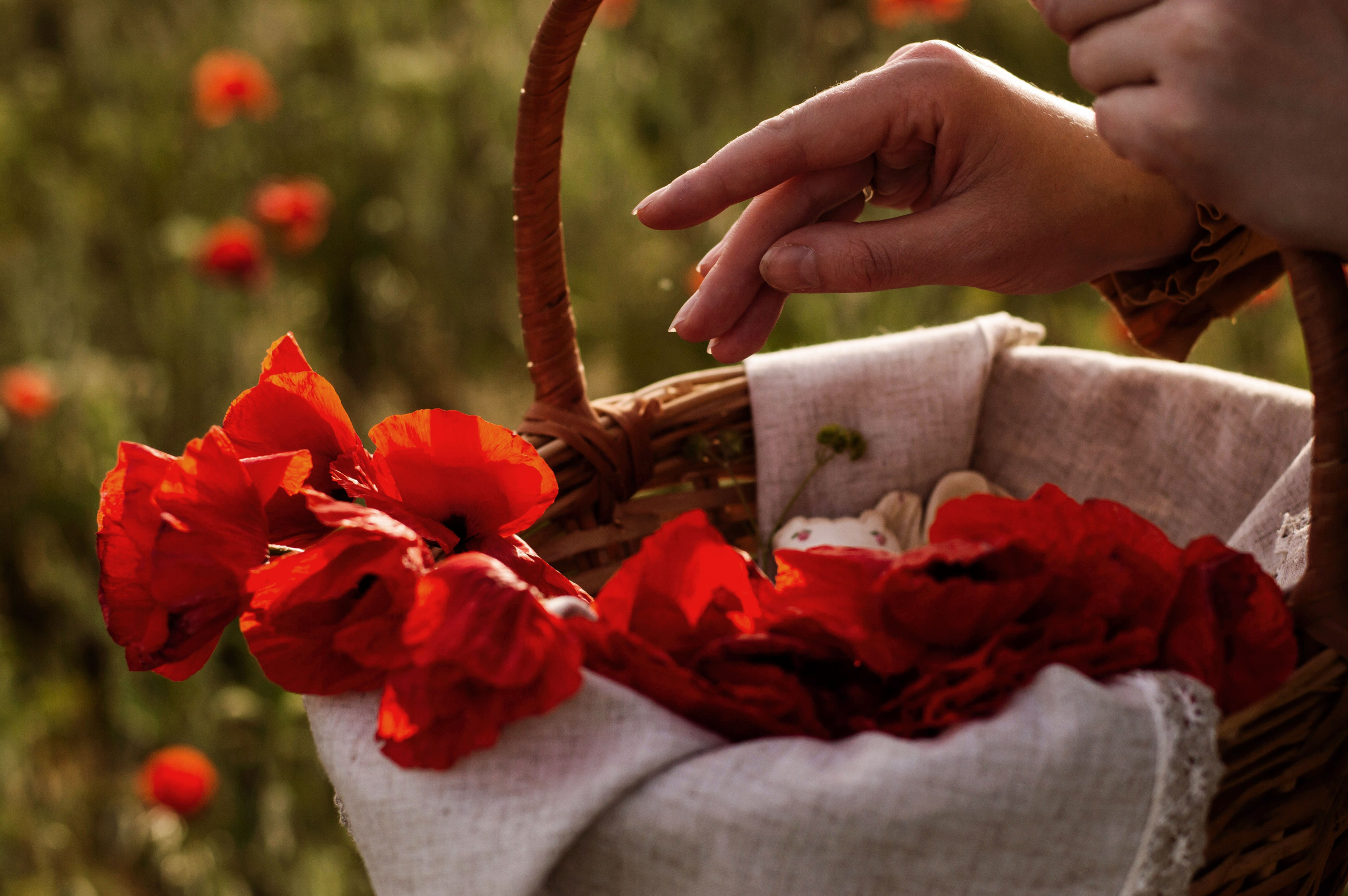 Индивидуальные съемки. Фотограф Пушкарская Татьяна