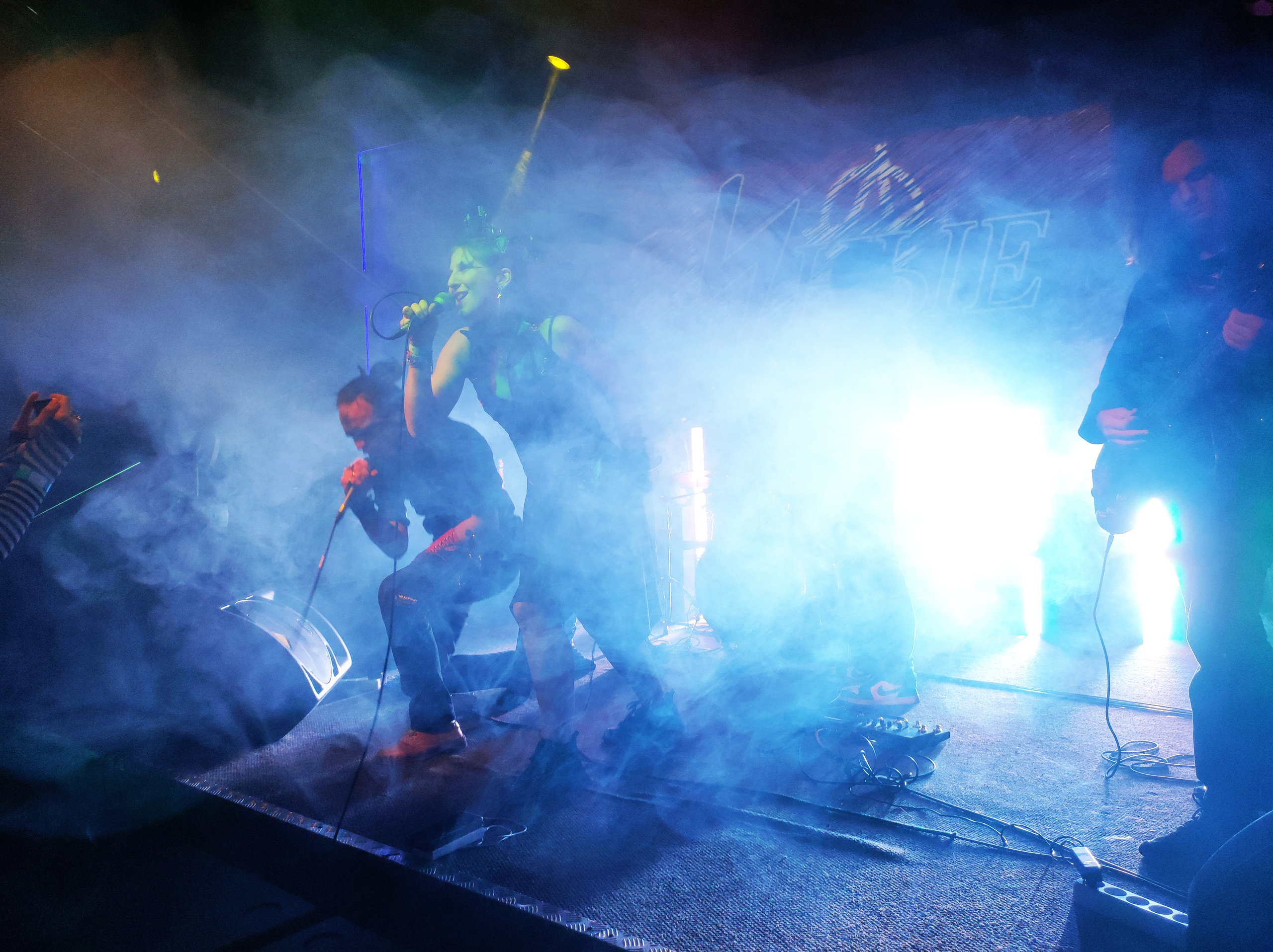 Иные. Rock night, клуб-галерея Эрмитаж. 15.11.2024. Фотограф Регина Крикунова г. Красноярск