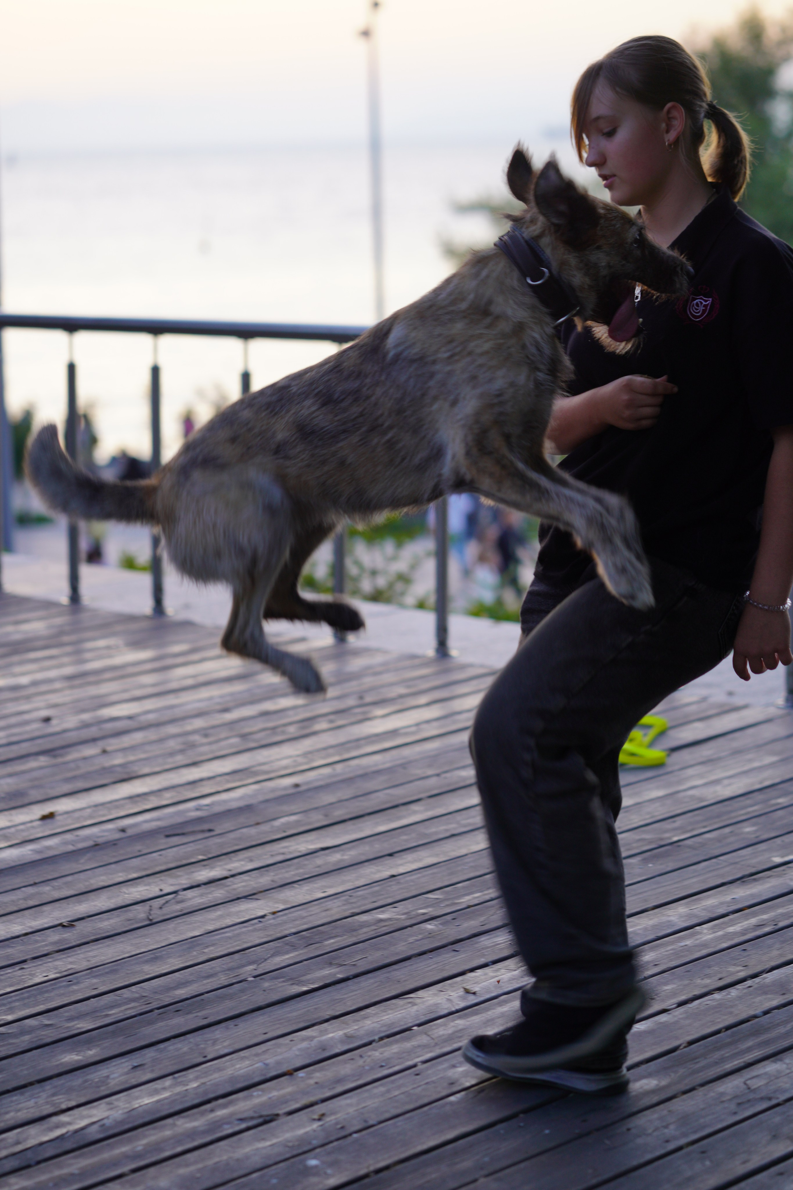 собака и девушка