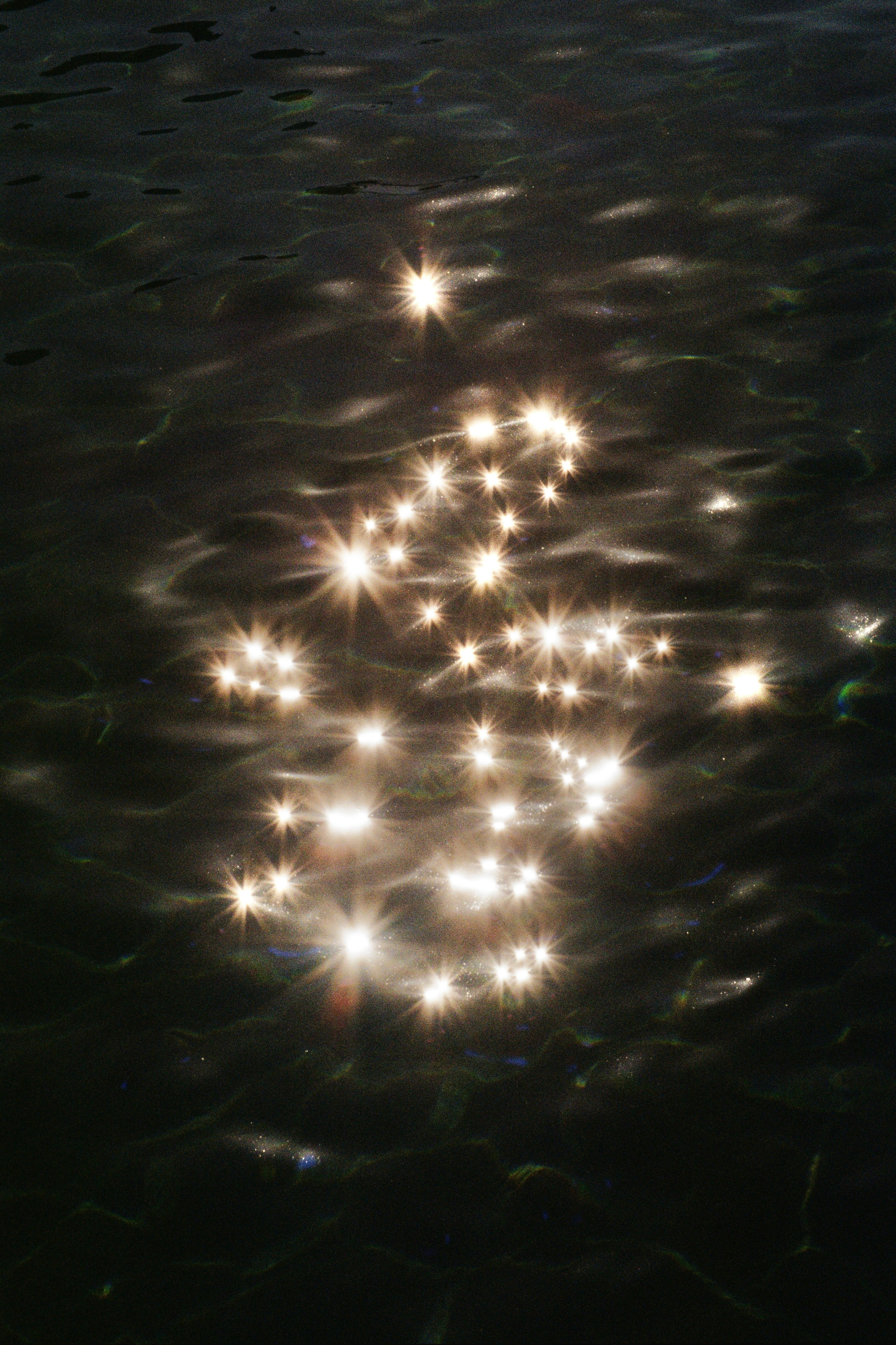 Grain. Artem Khusainov