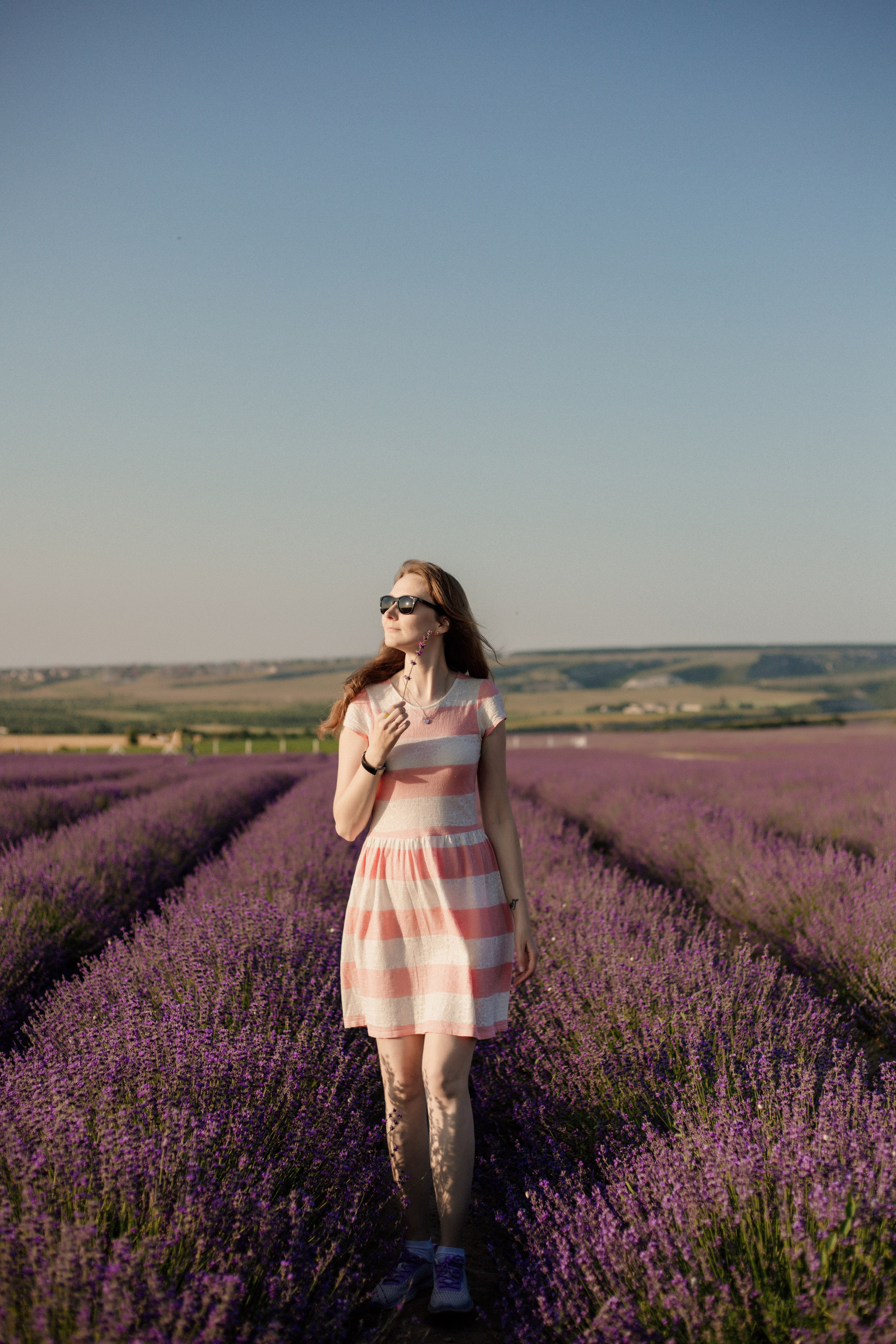 Лаванда. Фотограф и Видеограф Севастополь Крым