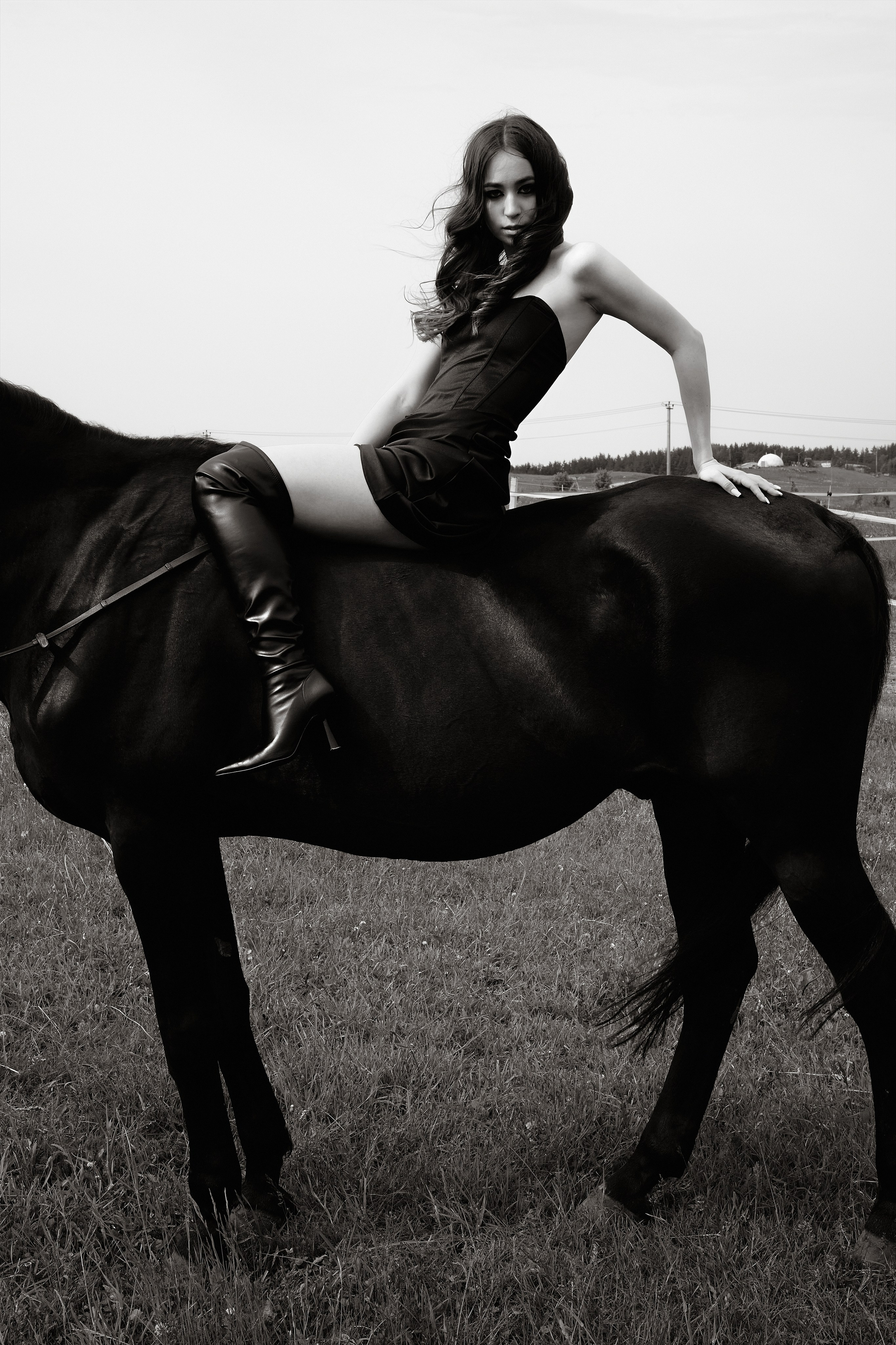 The black horse. Фотограф Надежда Куксина