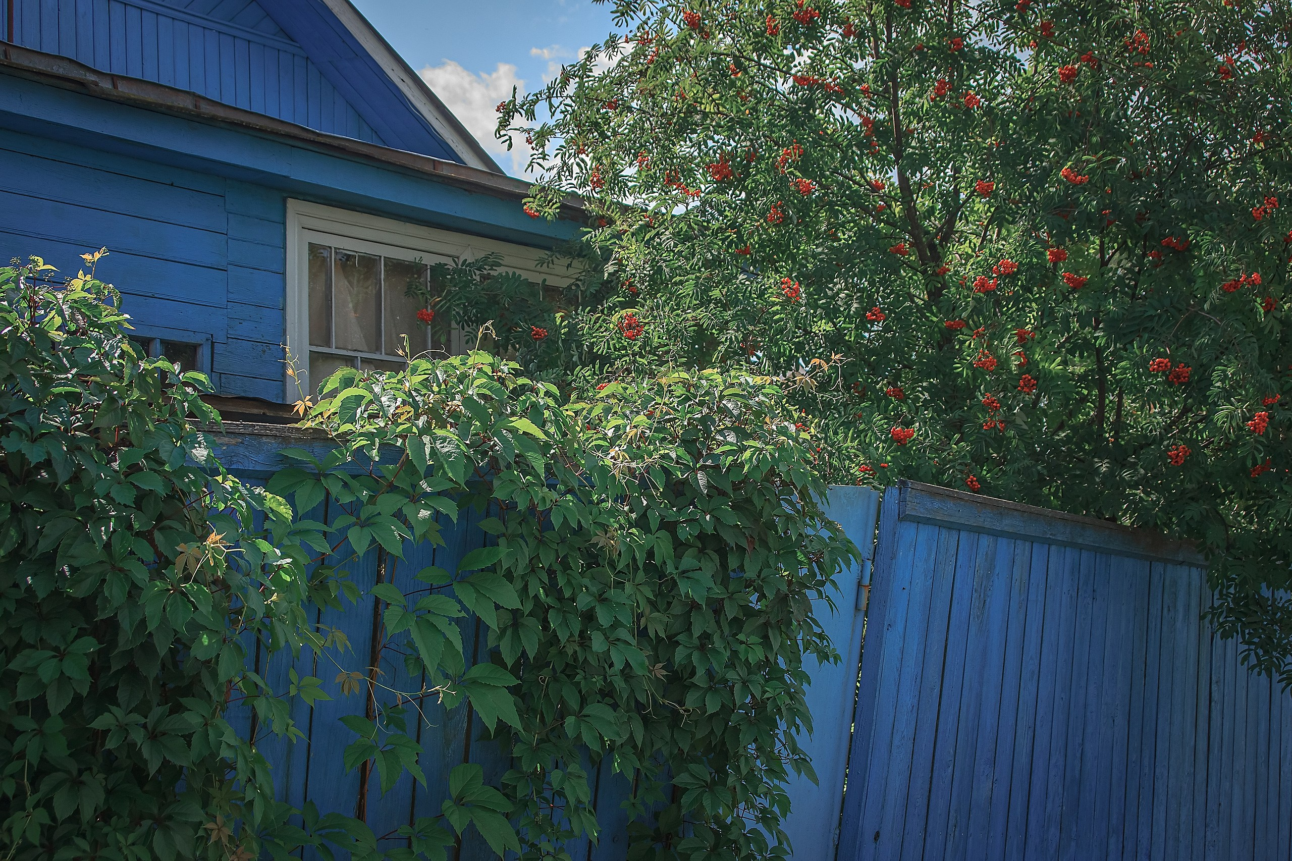 Дом там, где любят. Аmat Victoria Сuram