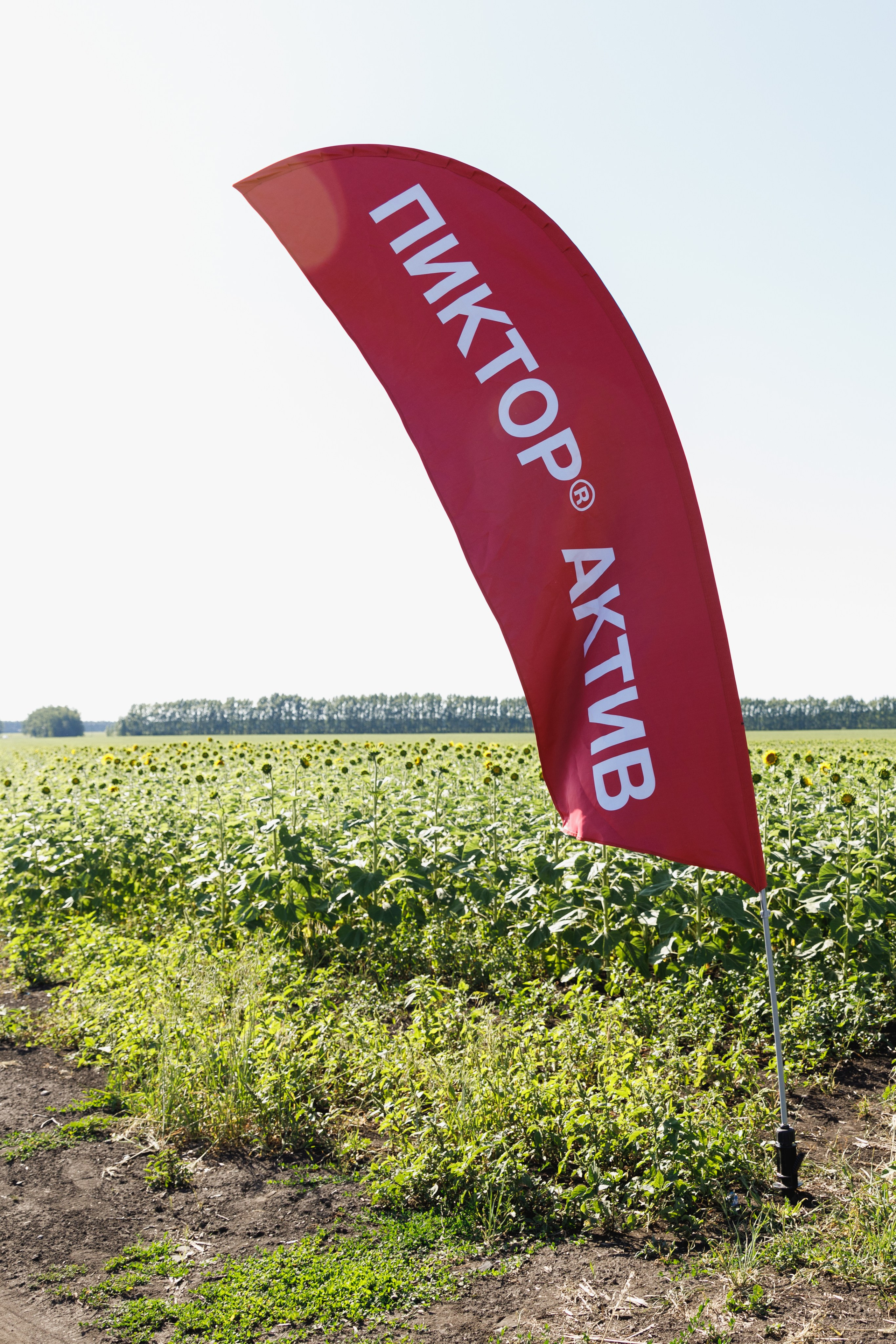 BASF. Конференция 2024. Фотограф Липецк. Фотограф в Липецке Татьяна Минаева. Портретный фотограф Липецк. Свадебный фотограф Липецк. Бизнес фотограф Липецк
