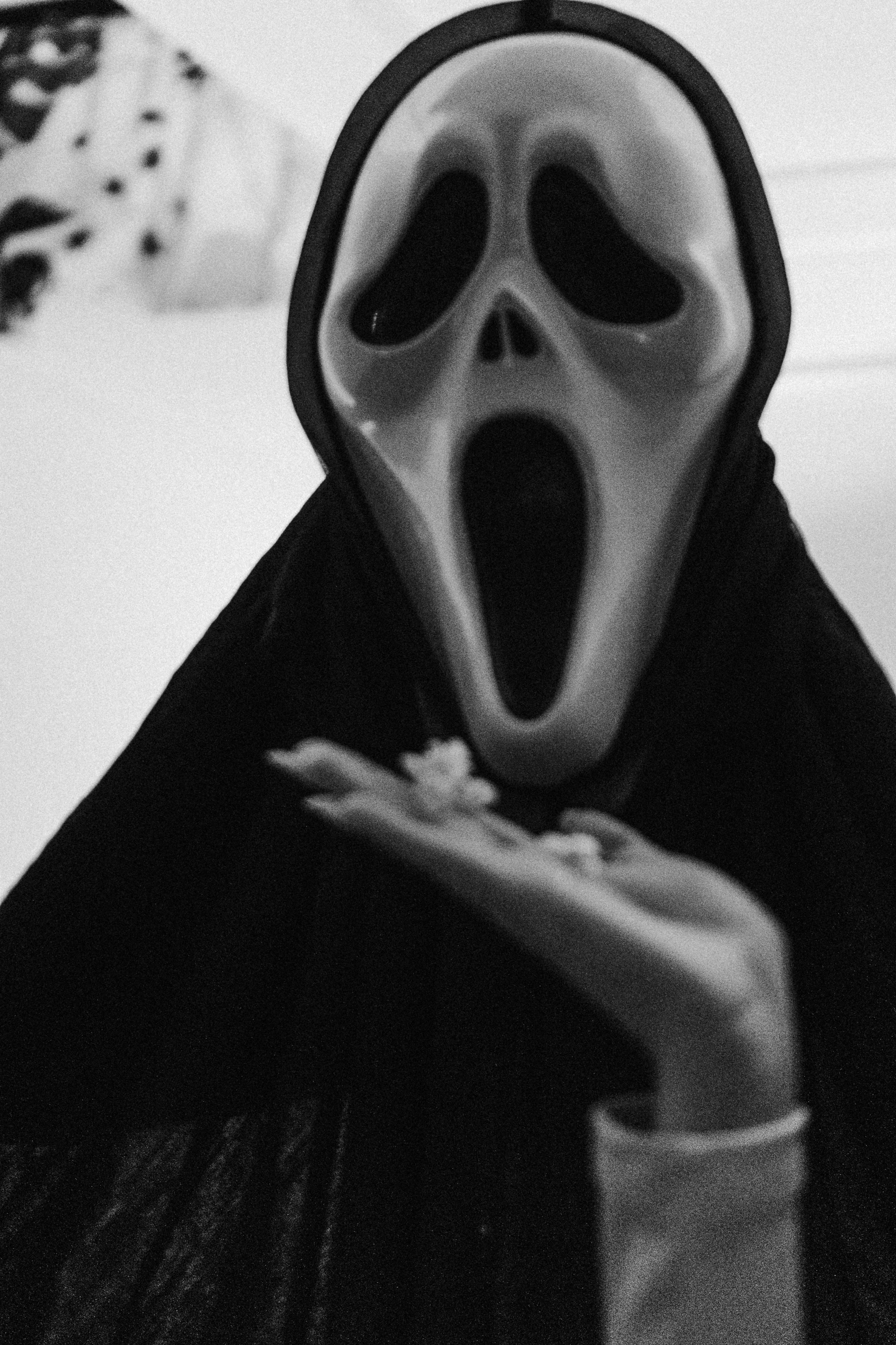 ТРЕНД ИИ. Профессиональный фотограф, Санкт-Петербург — Виктория Богомолова