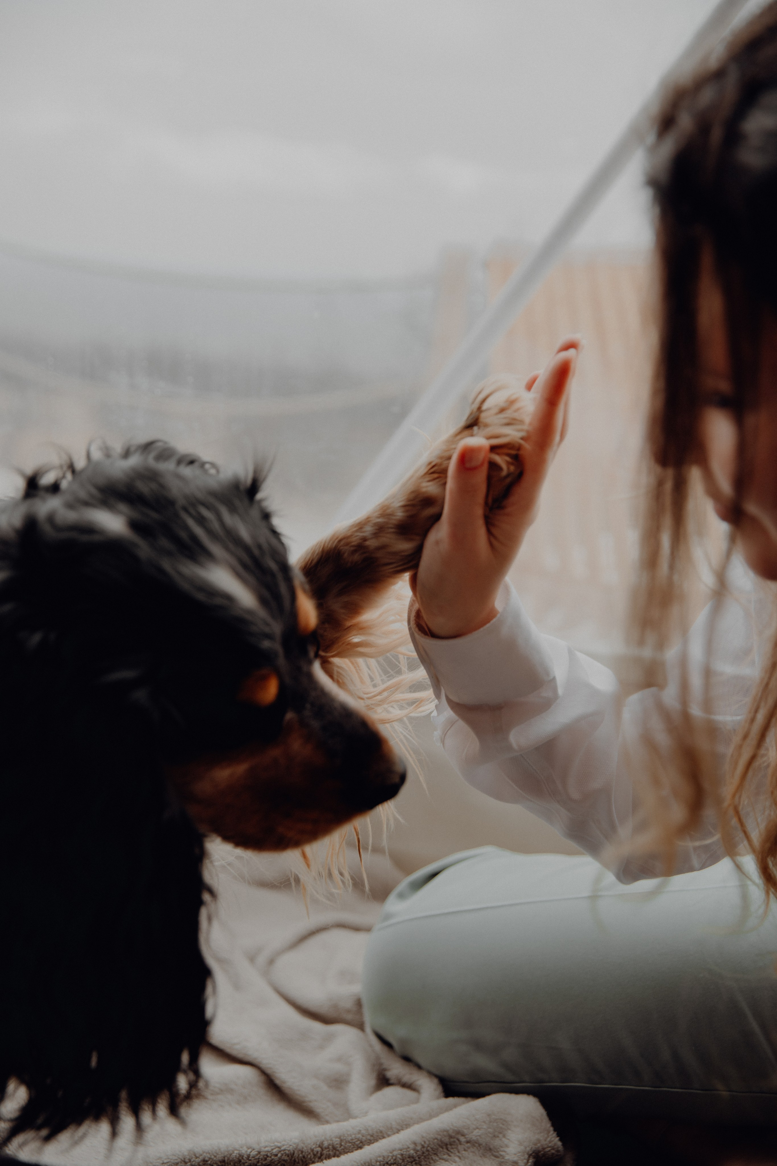 Ася ღ Заур. Портфолио