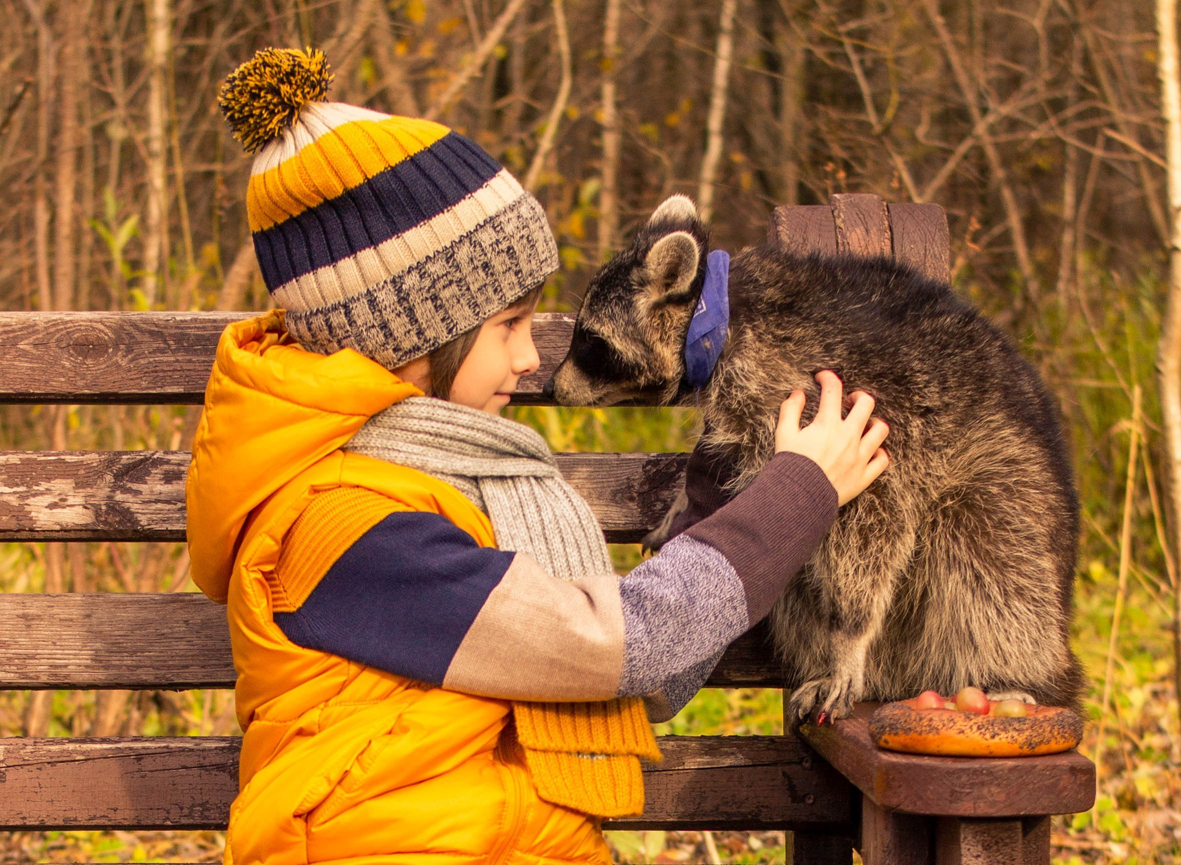 Альбомы стилизованных фотосессий и съёмки с животными. Семейный и свадебный фотограф в Москве и Домодедово Анна Авилочкина