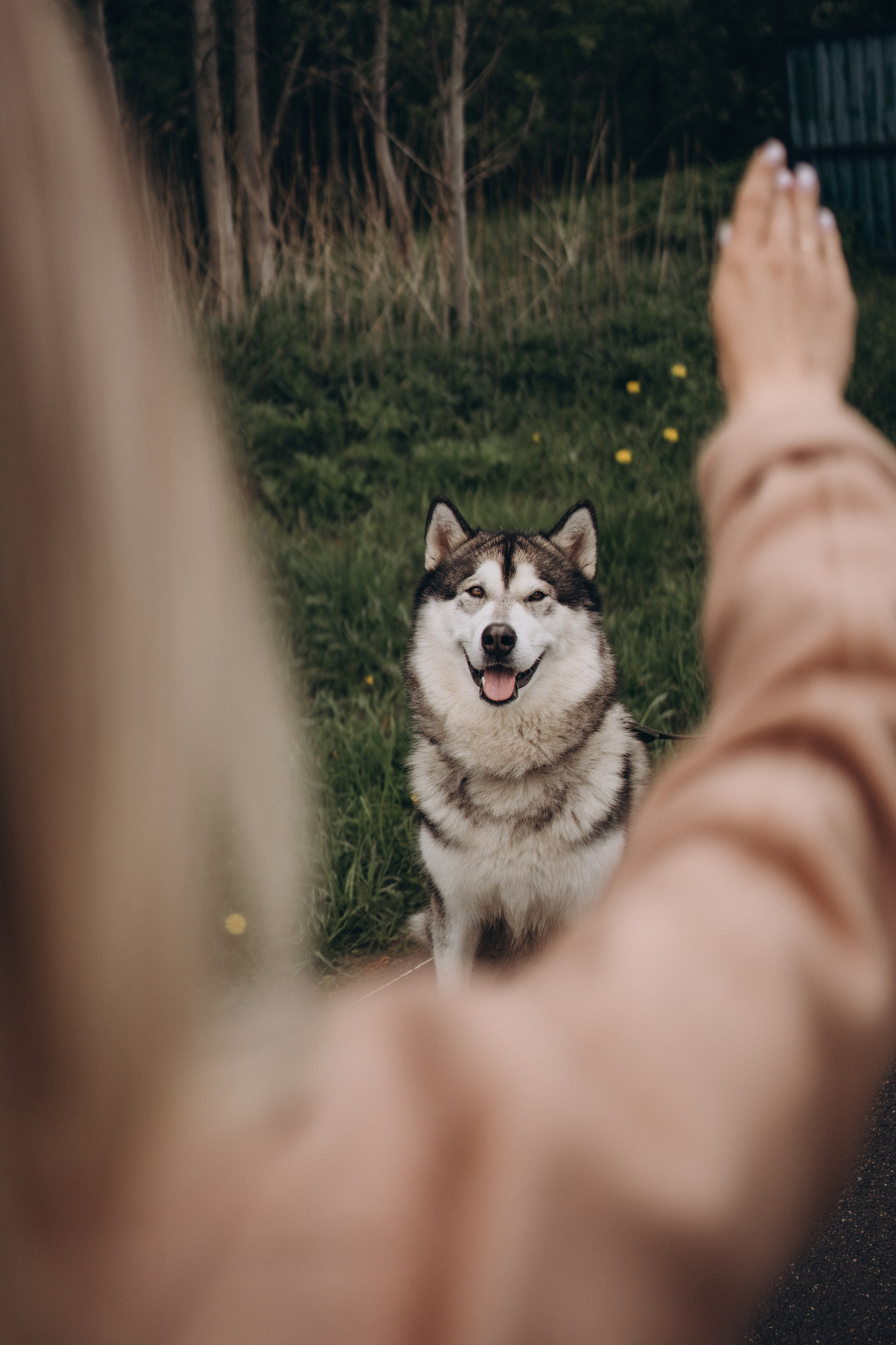 Света и Лёня. Дмитриева Светлана женский и семейный фотограф Рига, Москва, Геленджик