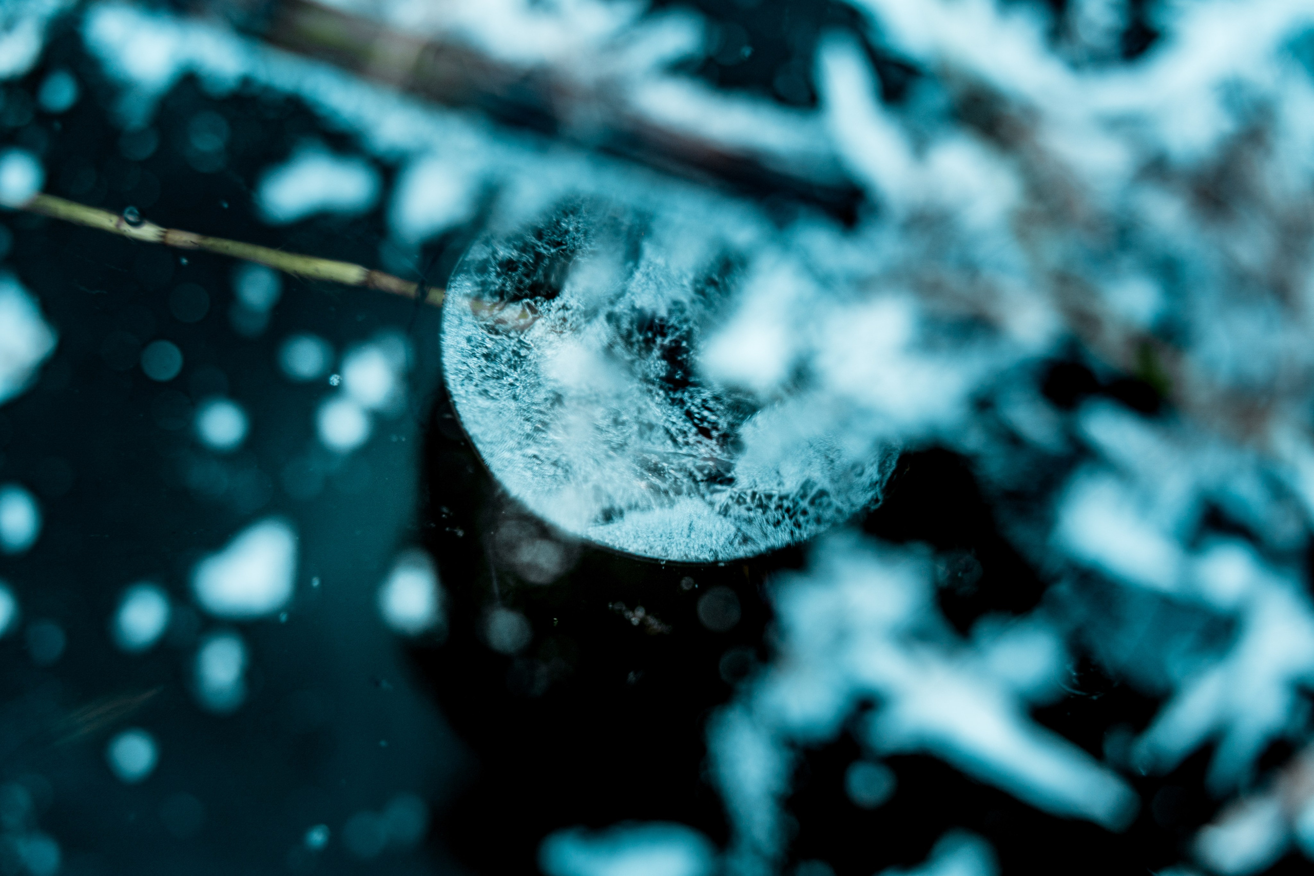 Пища для глаз. Ваш фотограф Северск | Томск