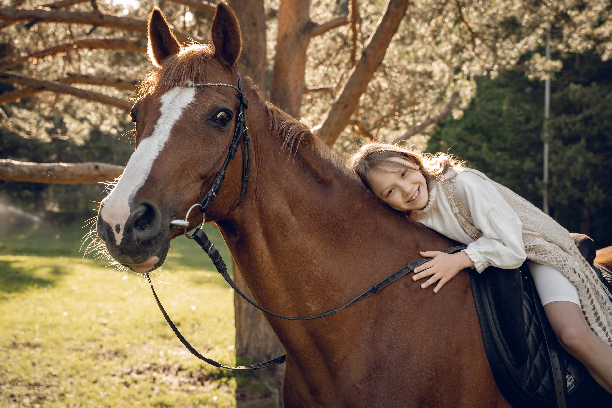 Семейная история с лошадьми. Главная