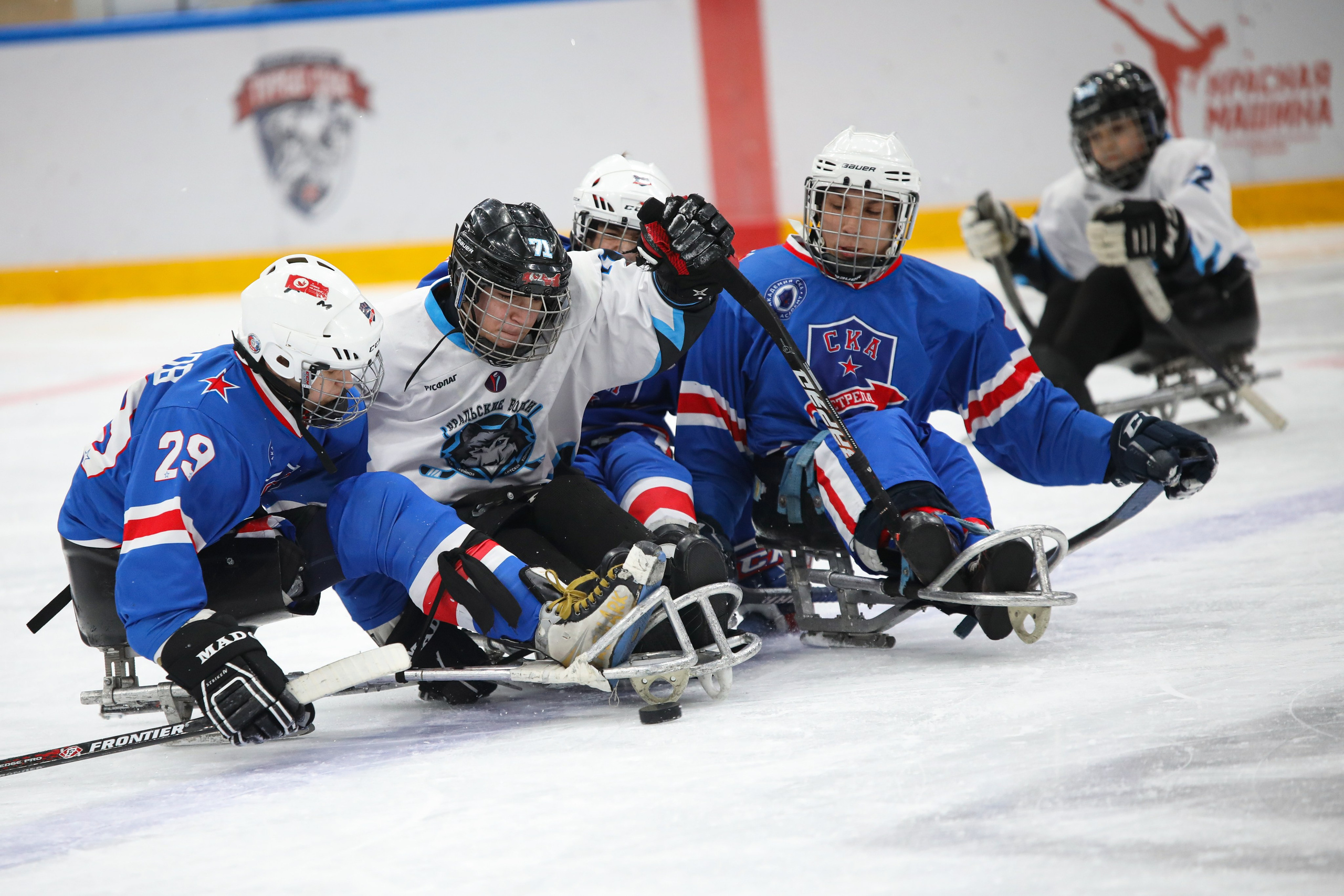 Следж-хоккей. Спортивный фотограф в Санкт-Петербурге Наталья Ксенофонтова