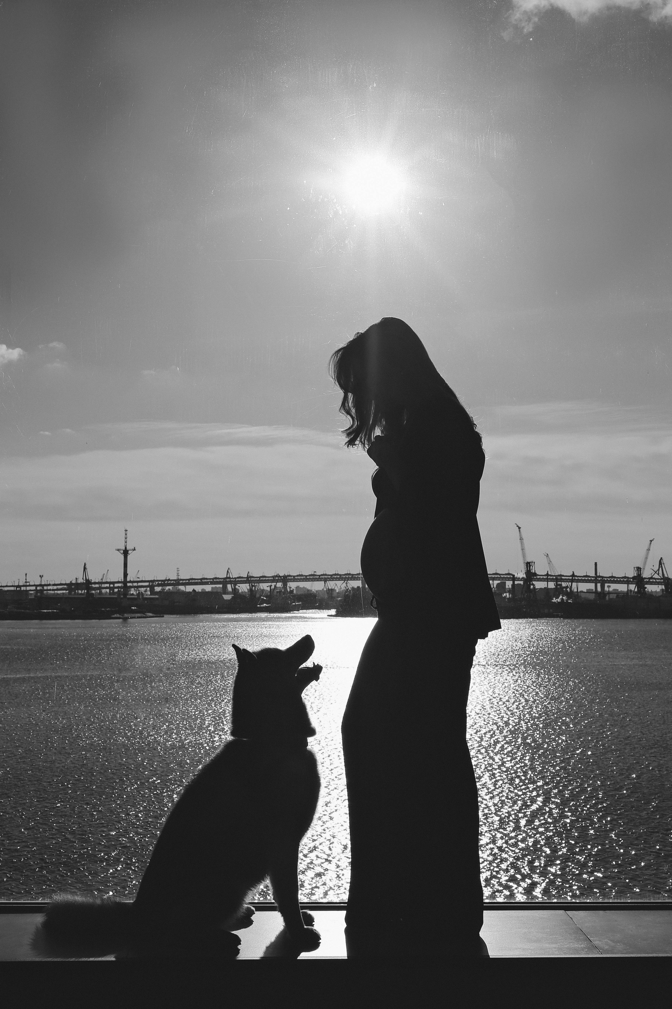 Беременность. Фотограф Беременности