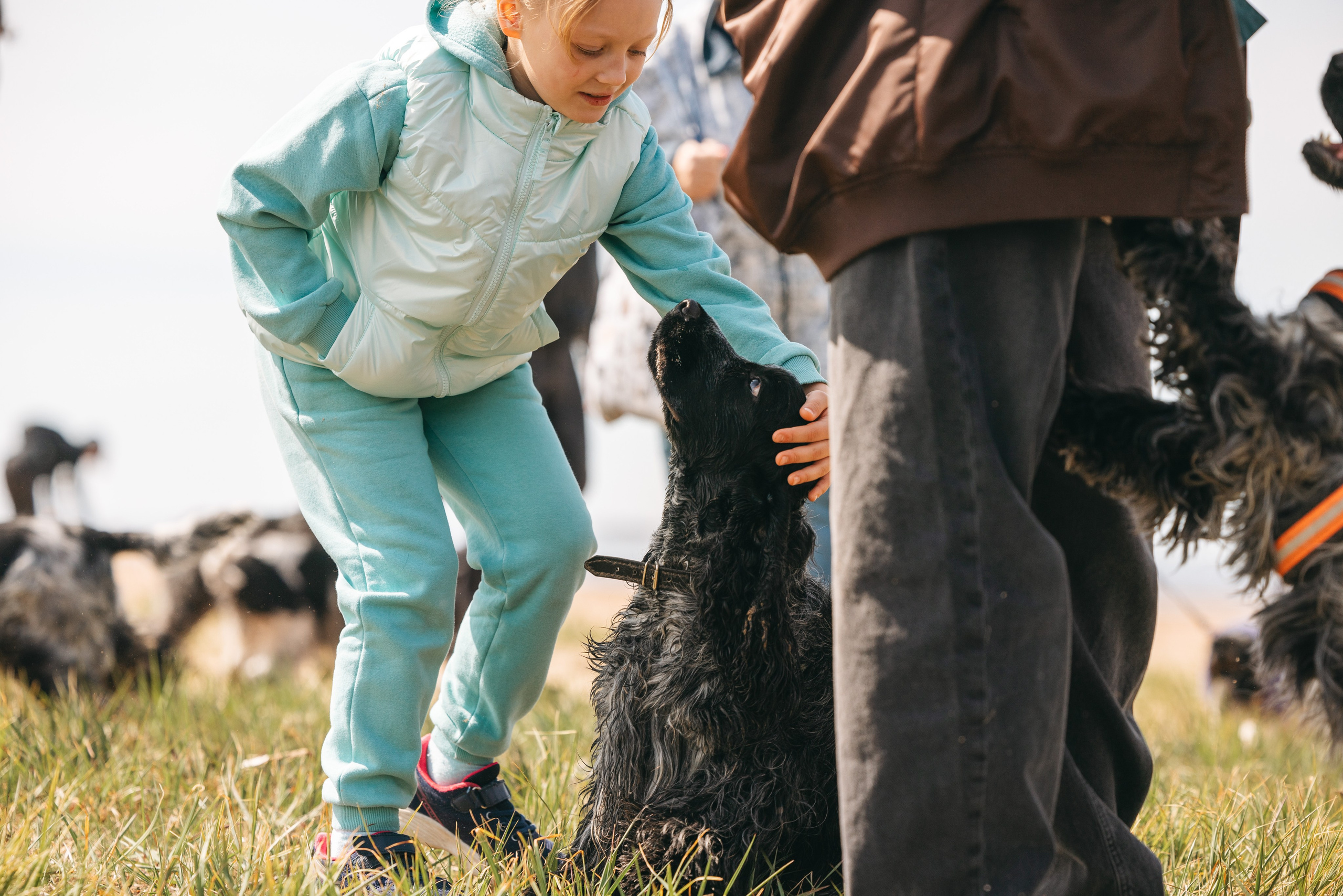 Спанимания. Фотограф анималист Осипчикова Мария