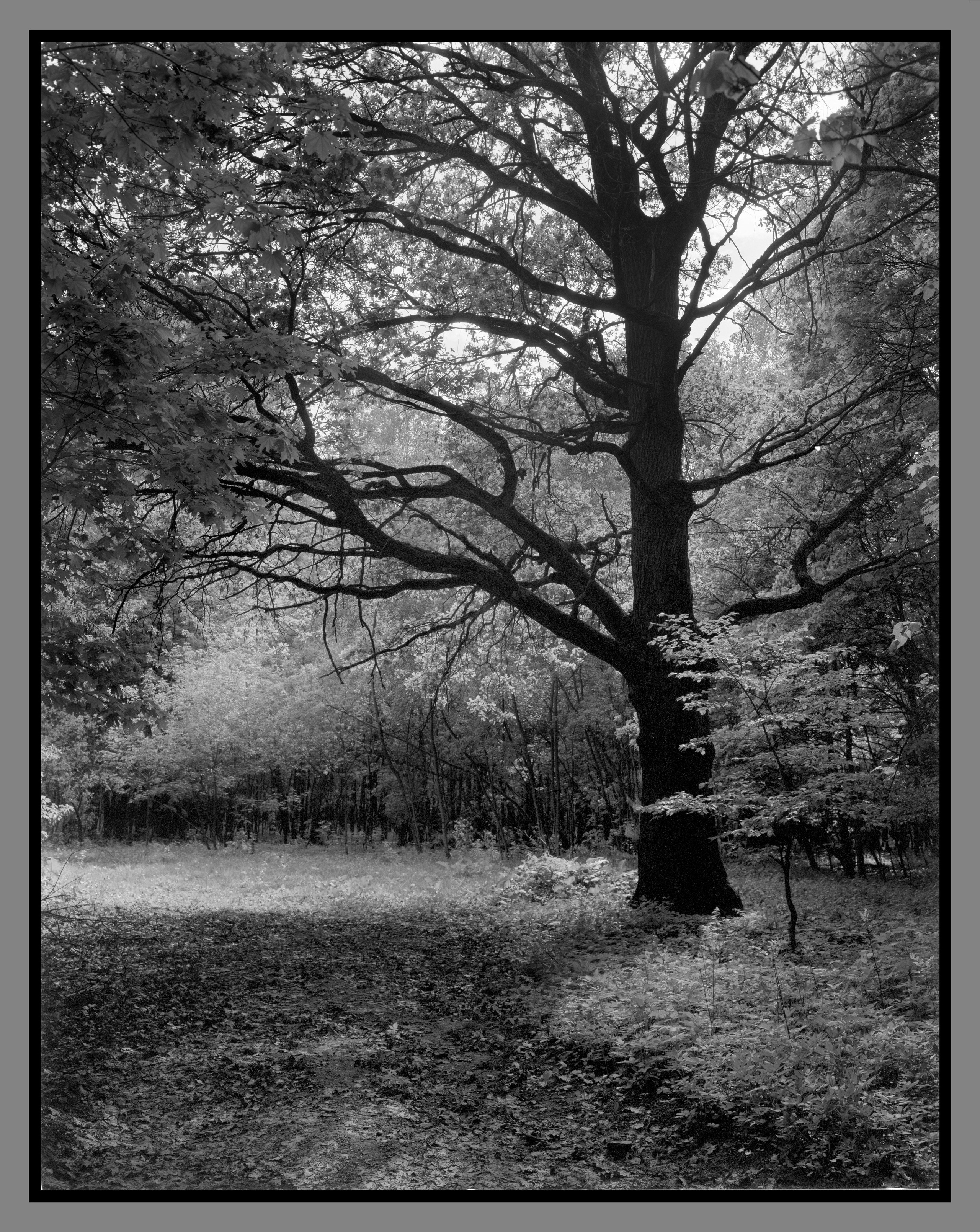 Author’s photo works in the ambrotype technique! Analog photography. Sergey Kondriuk art-photographer | artist