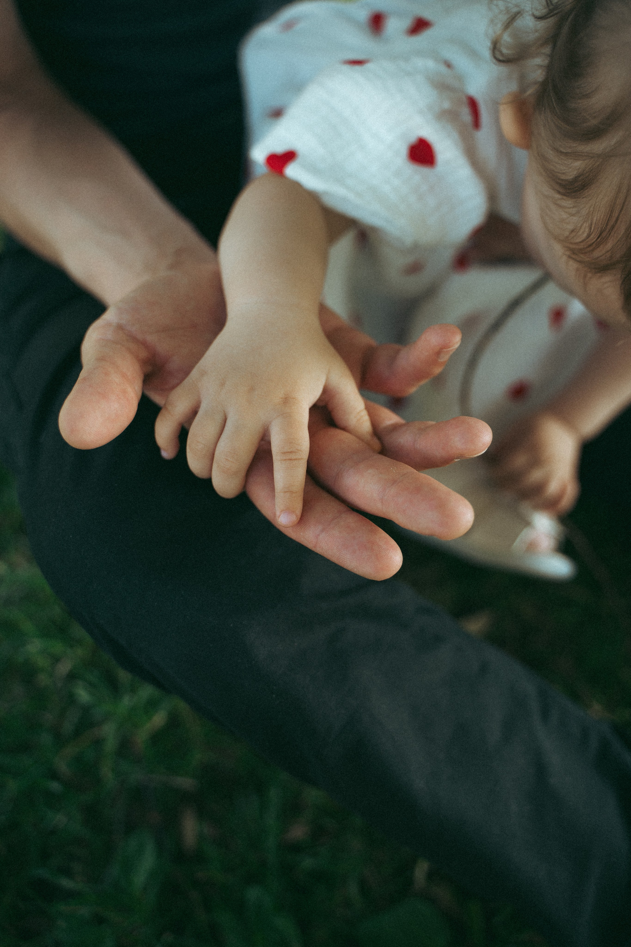 Дельфин парк. Фотограф Мария Зайчик