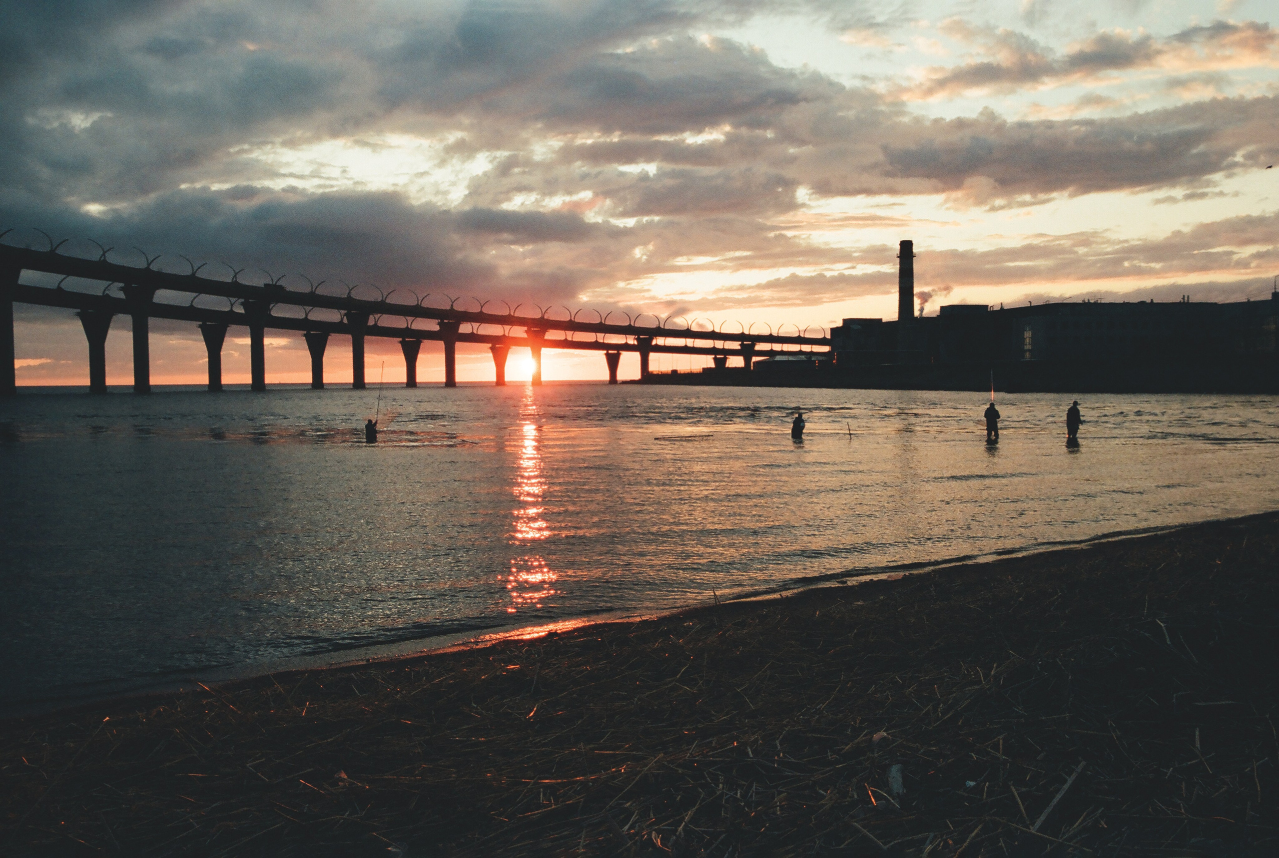 Фотографии цветные. Свадебный и семейный пленочный фотограф в Петербурге Истомина Ирина